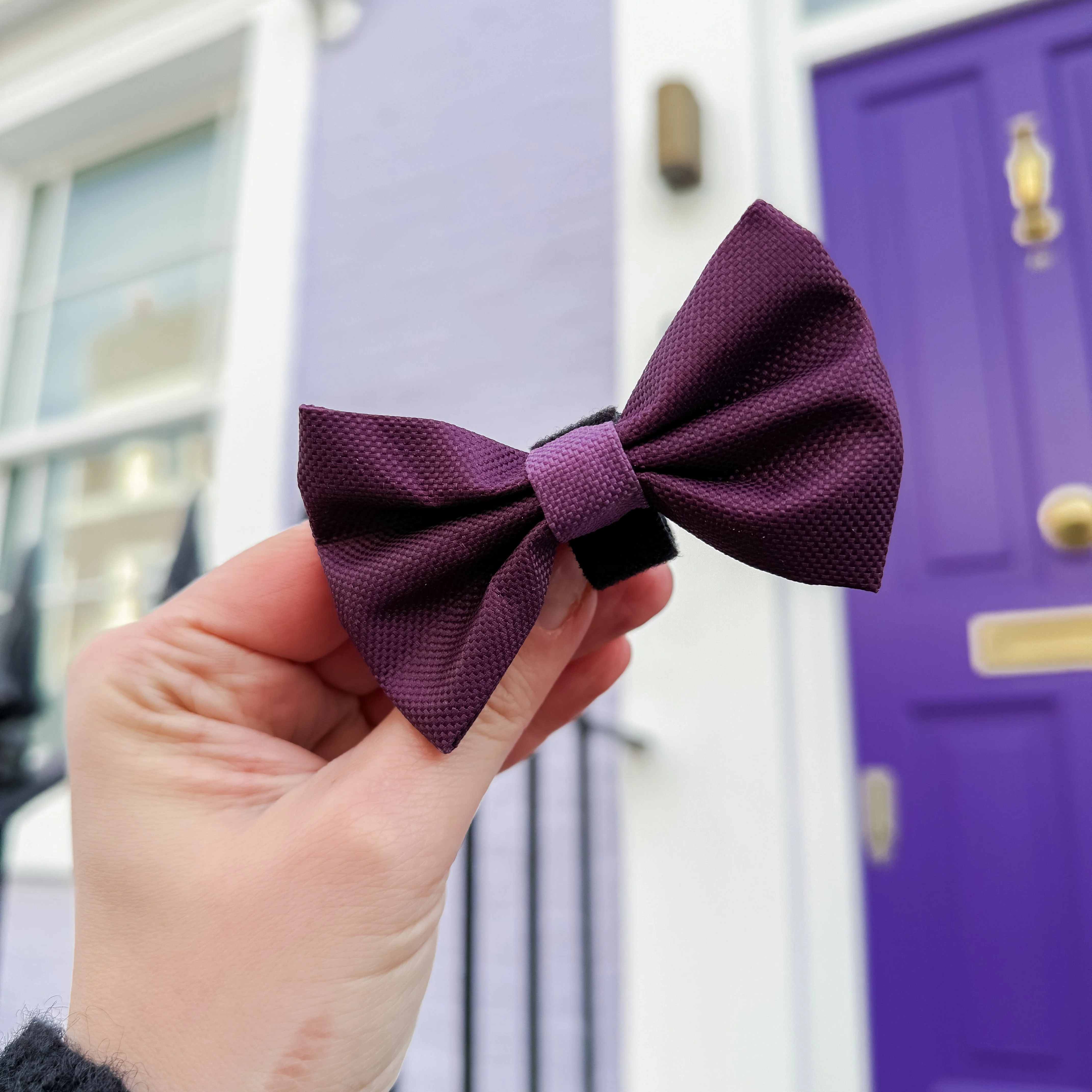 Bow Tie - Walkies Ready® - Plum - Image 8