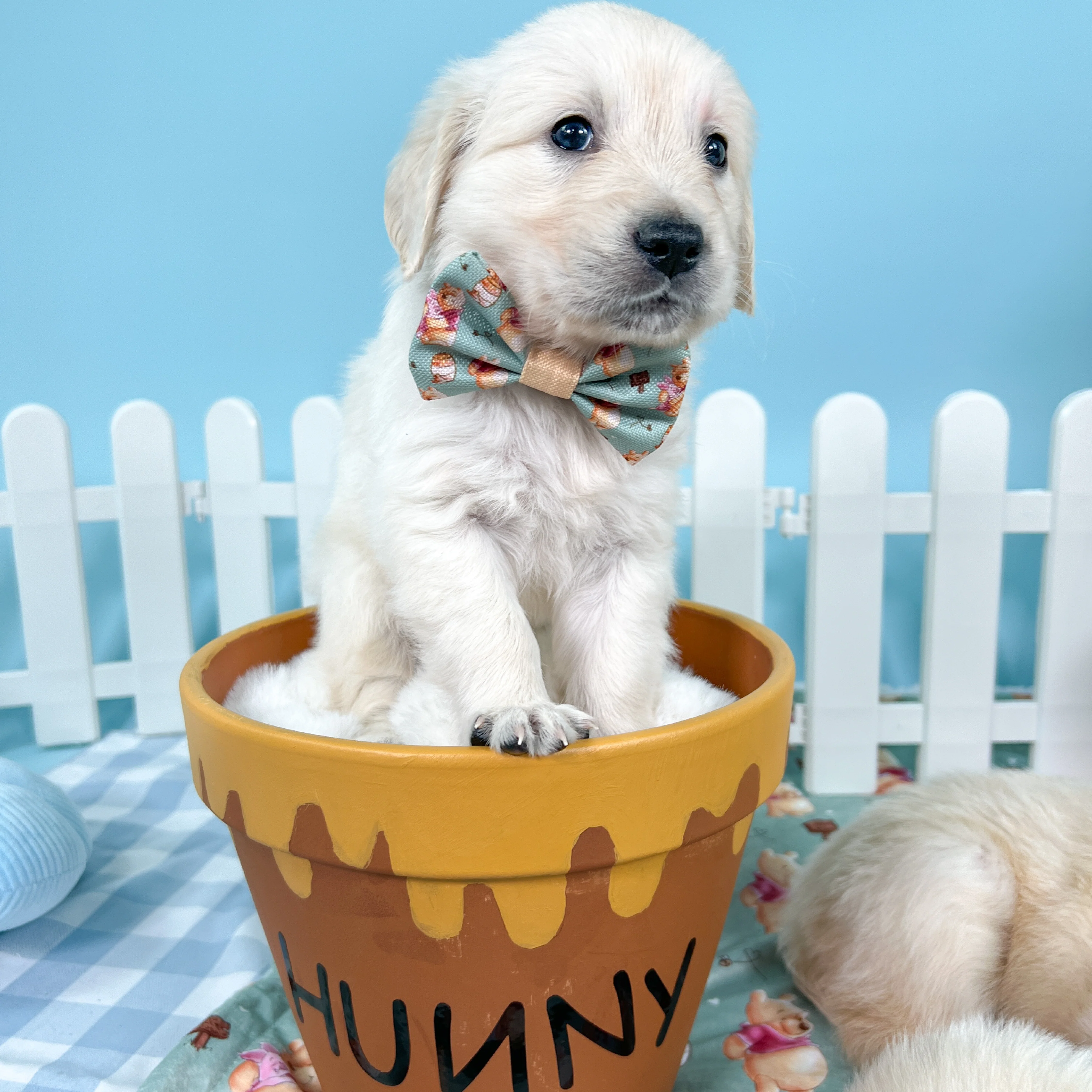 Disney© Bow Tie - Winnie The Pooh - Image 3