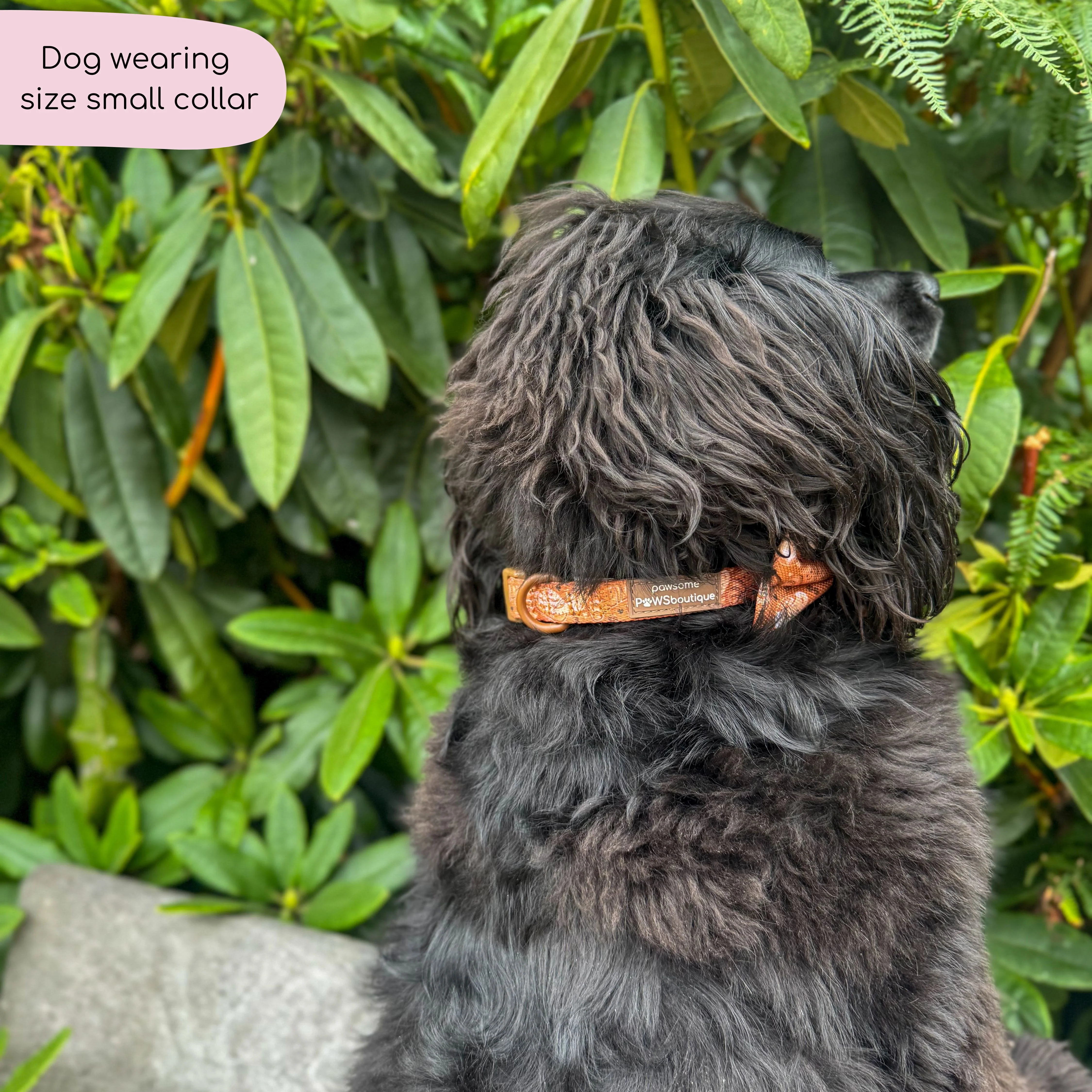Collar - Cinnamon Spice - Image 17