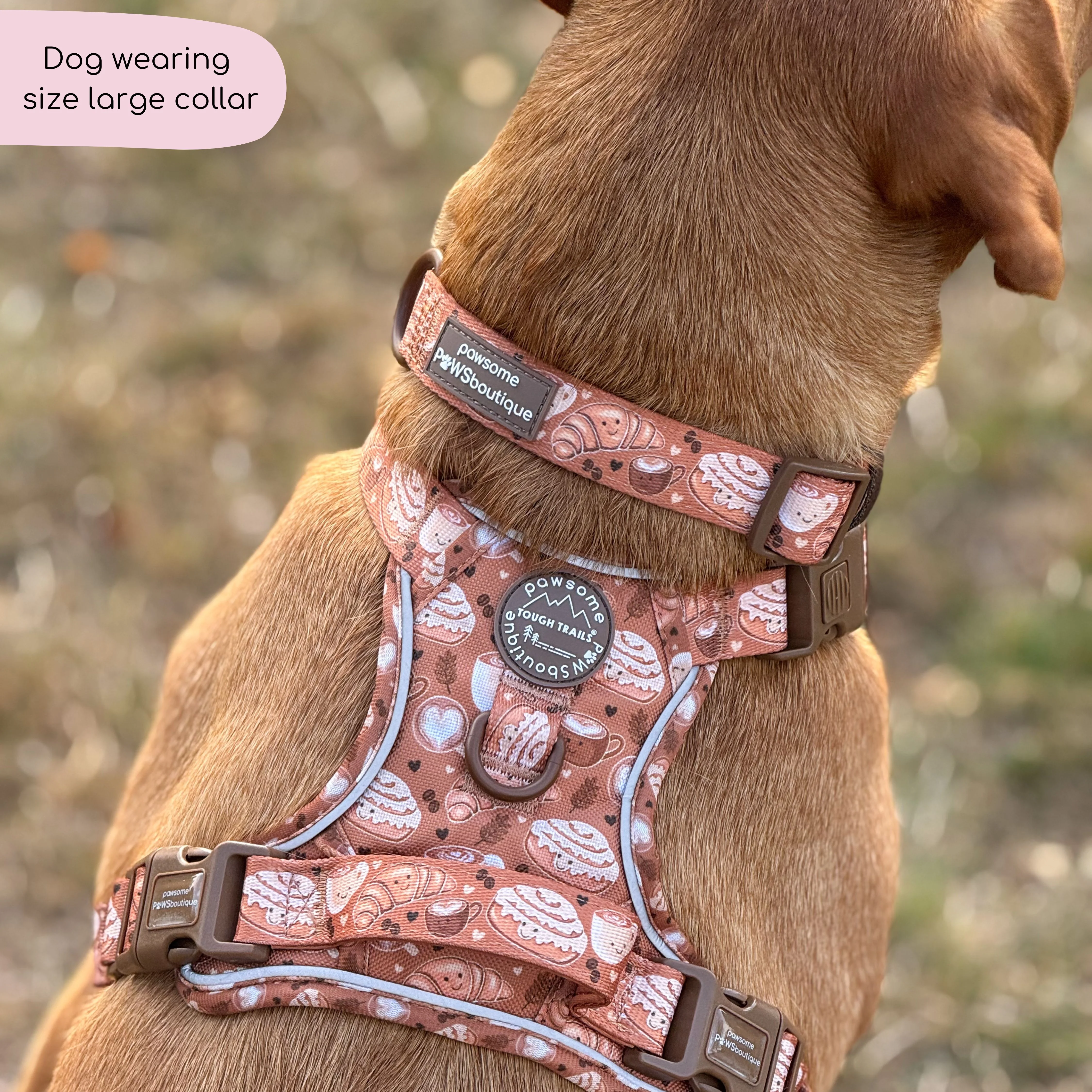Collar - Cinnamon Spice - Image 9