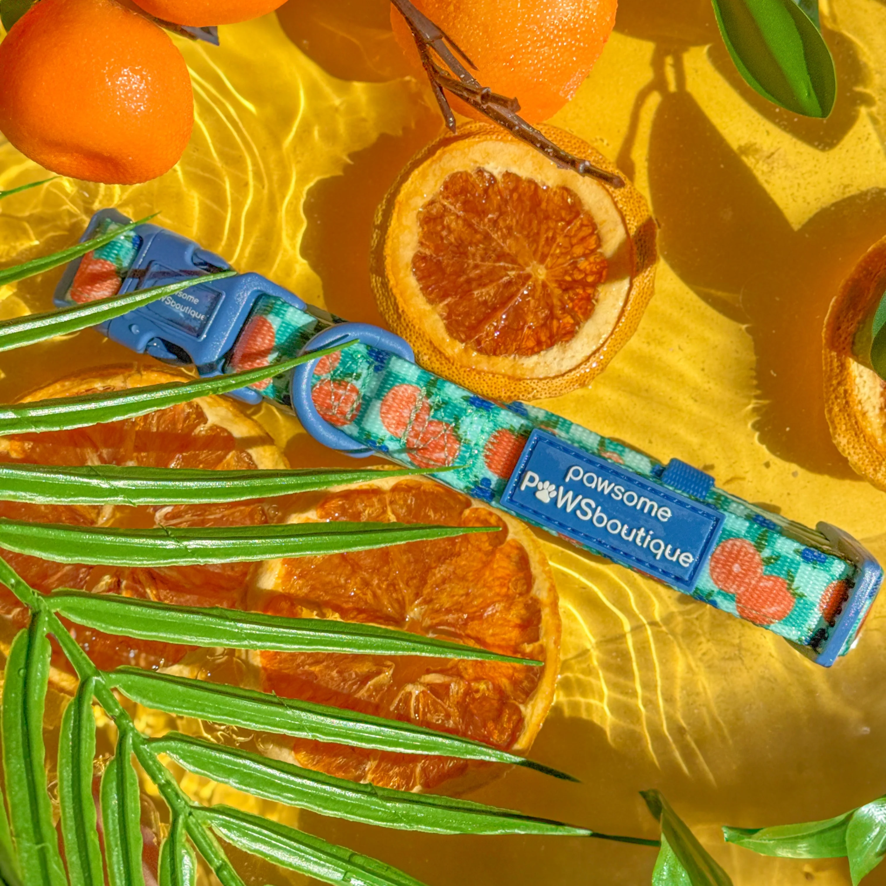 Collar - Fruit Punch - Image 5