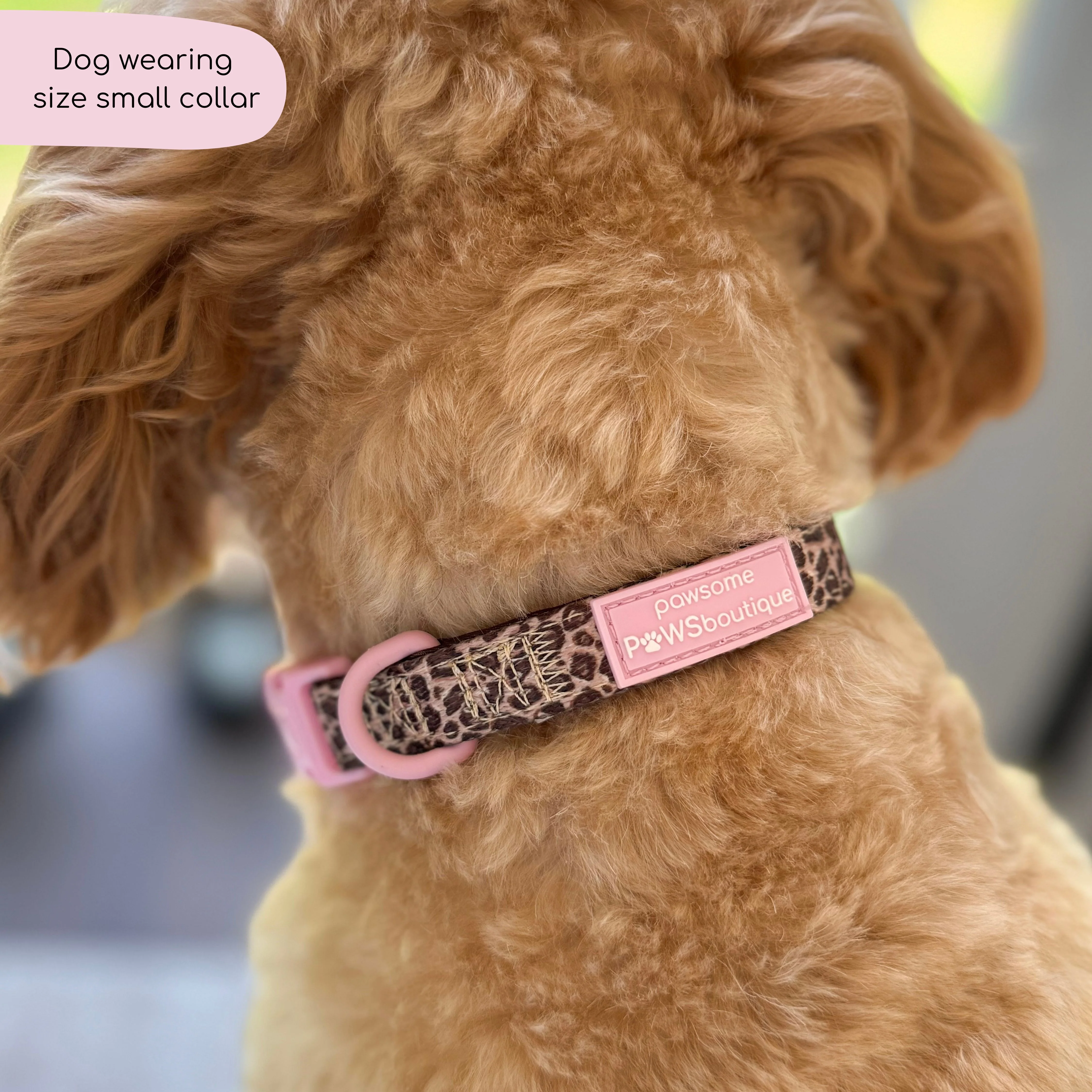 Collar - Leopard Print - Image 3