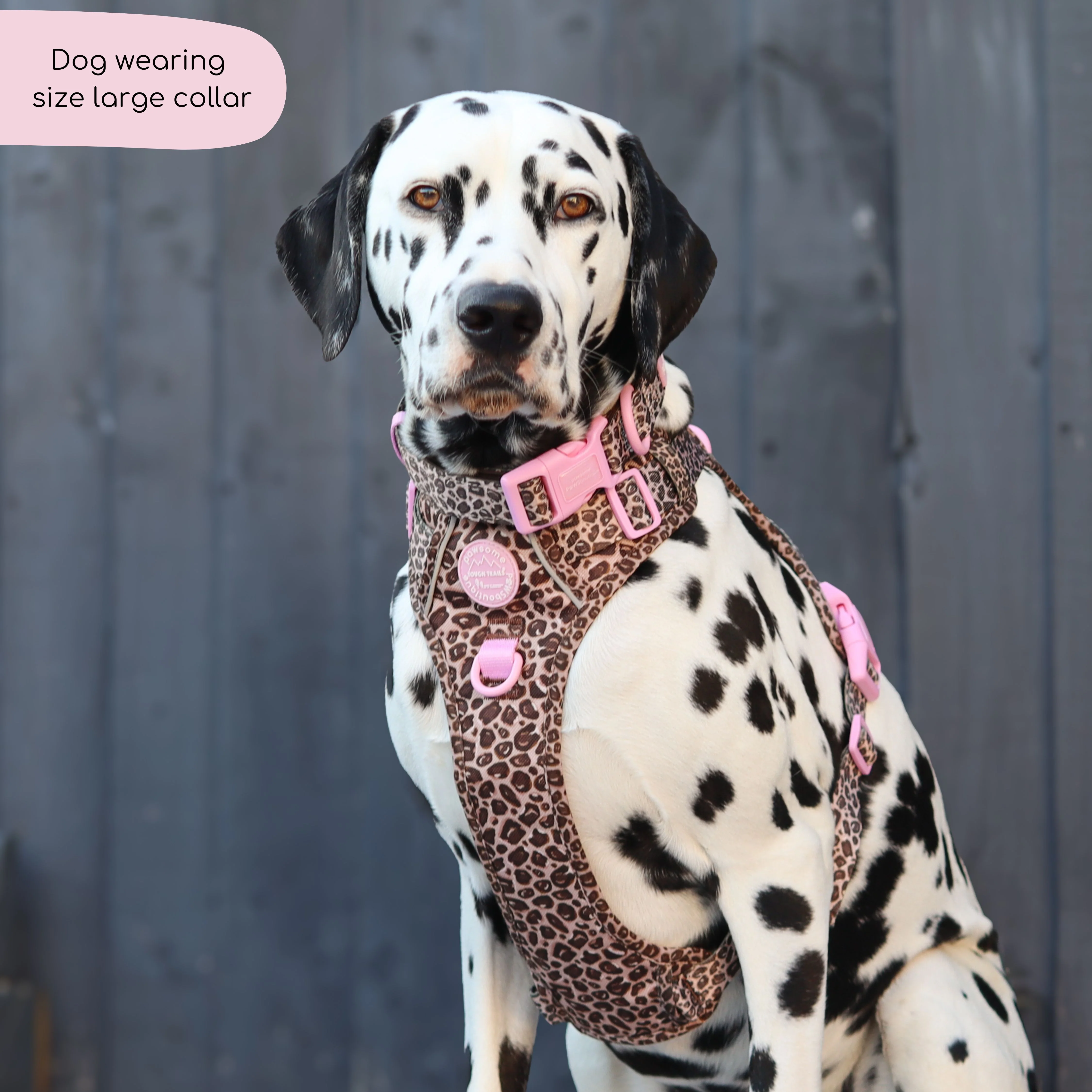Collar - Leopard Print - Image 7