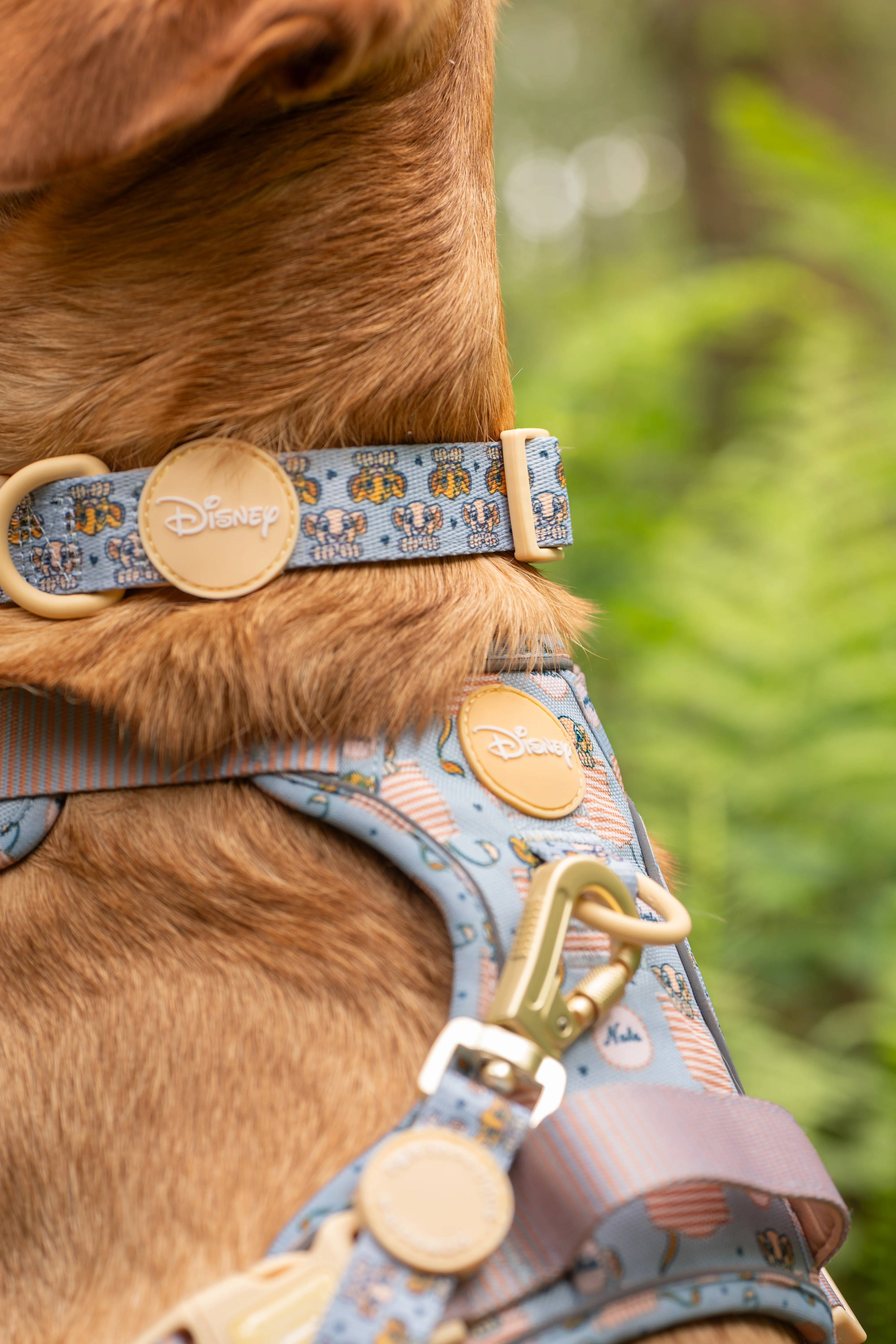 Disney© Collar - Lion Friends - Image 4