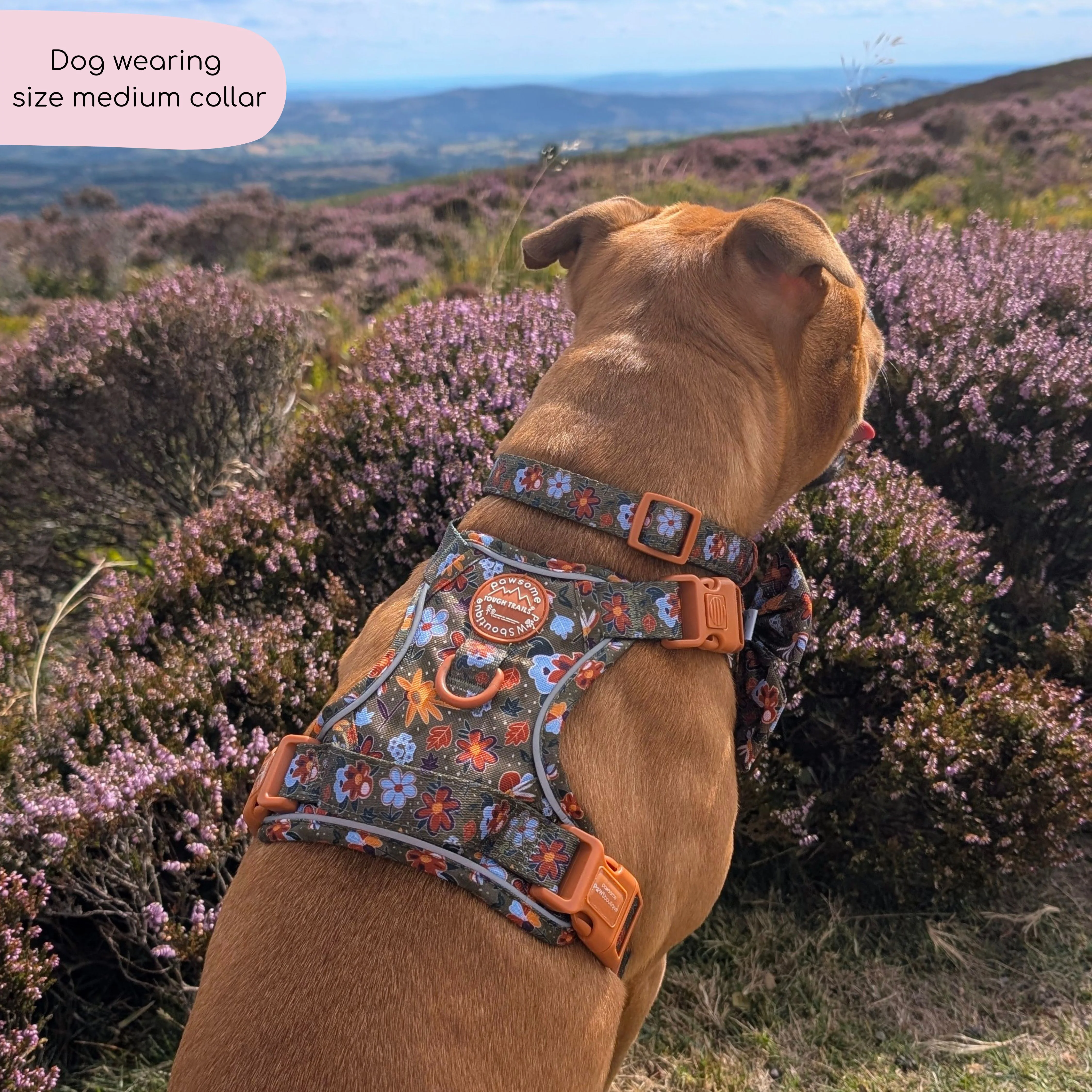 Collar - Rust & Bloom - Image 10
