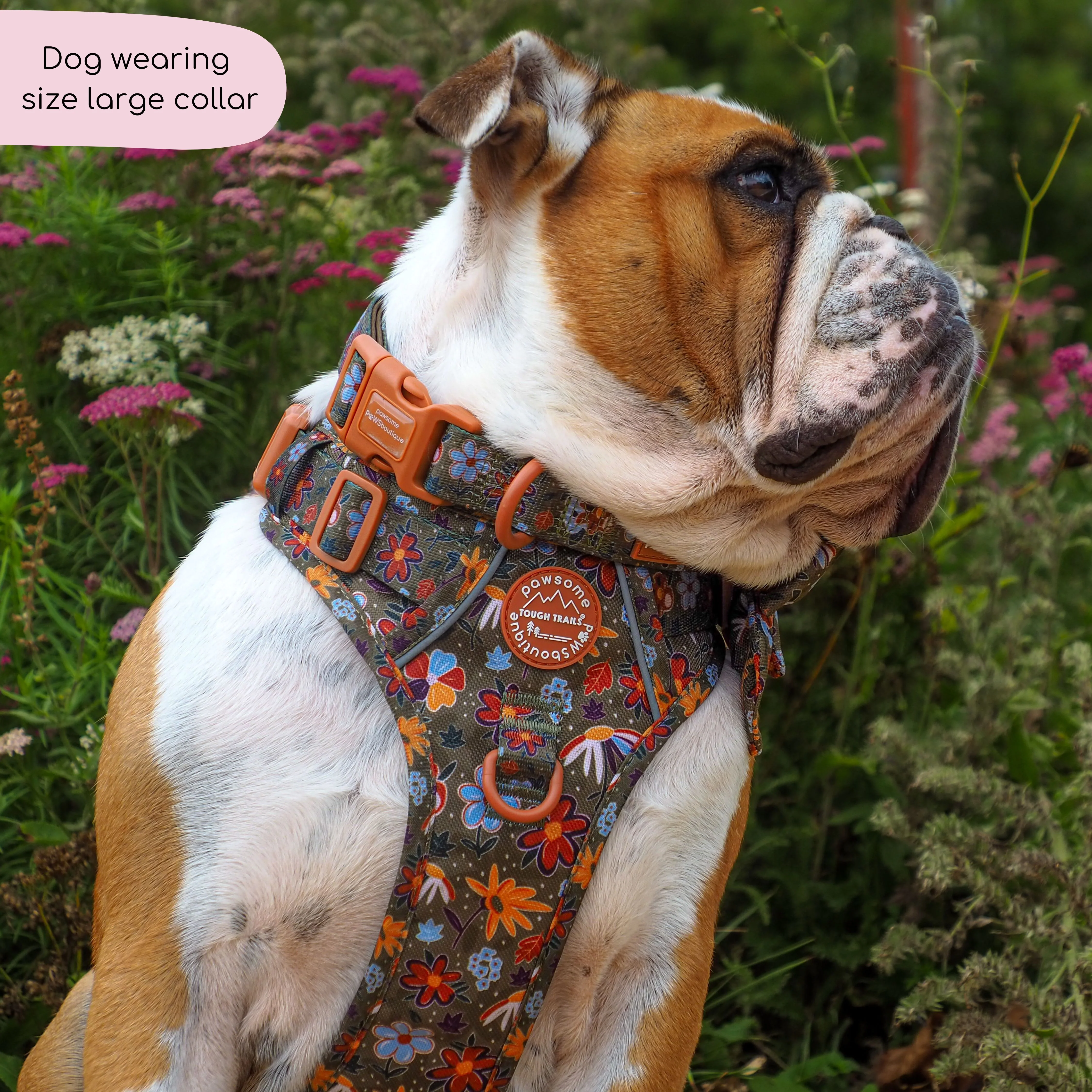 Collar - Rust & Bloom - Image 14