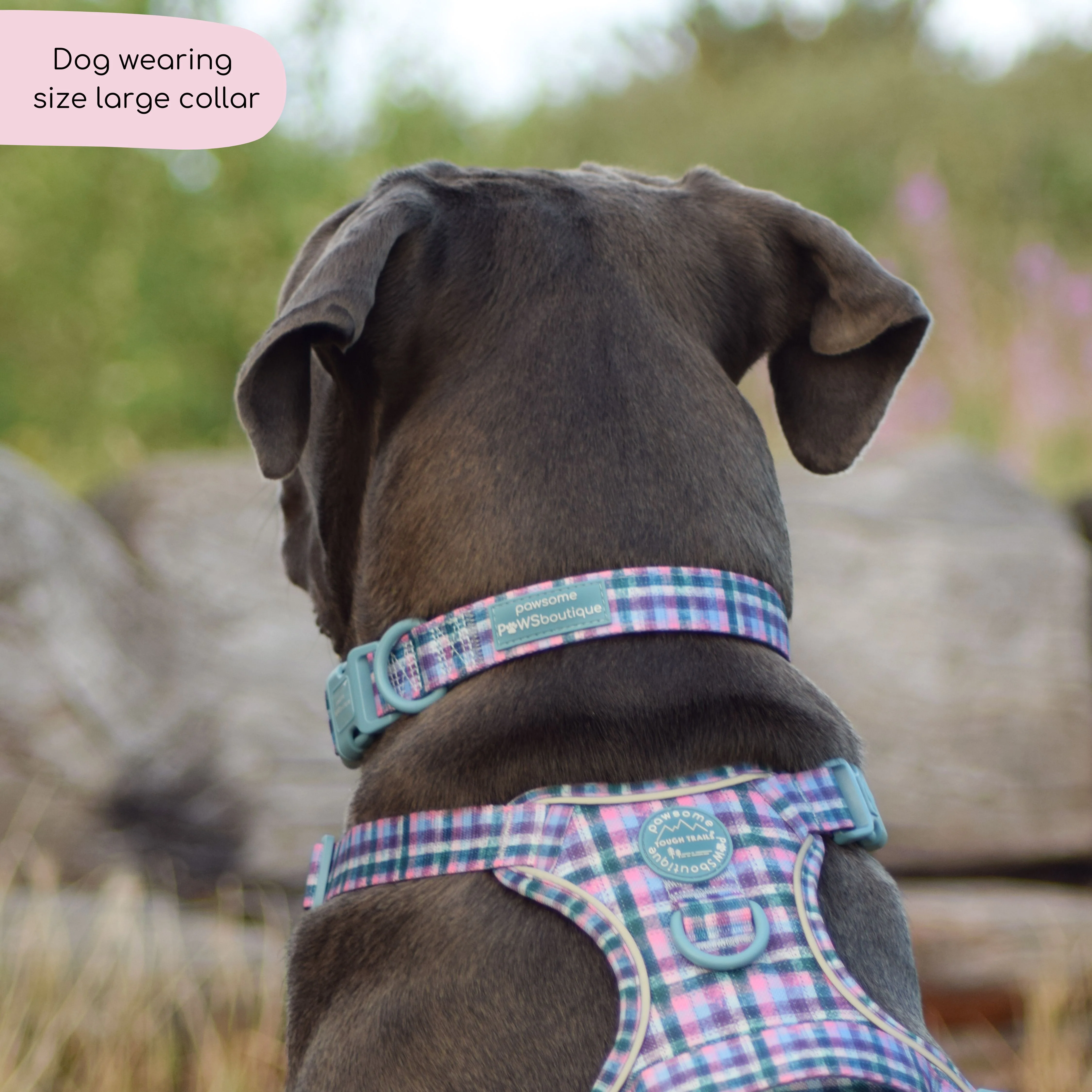 Collar - Tweed Twilight - Image 5