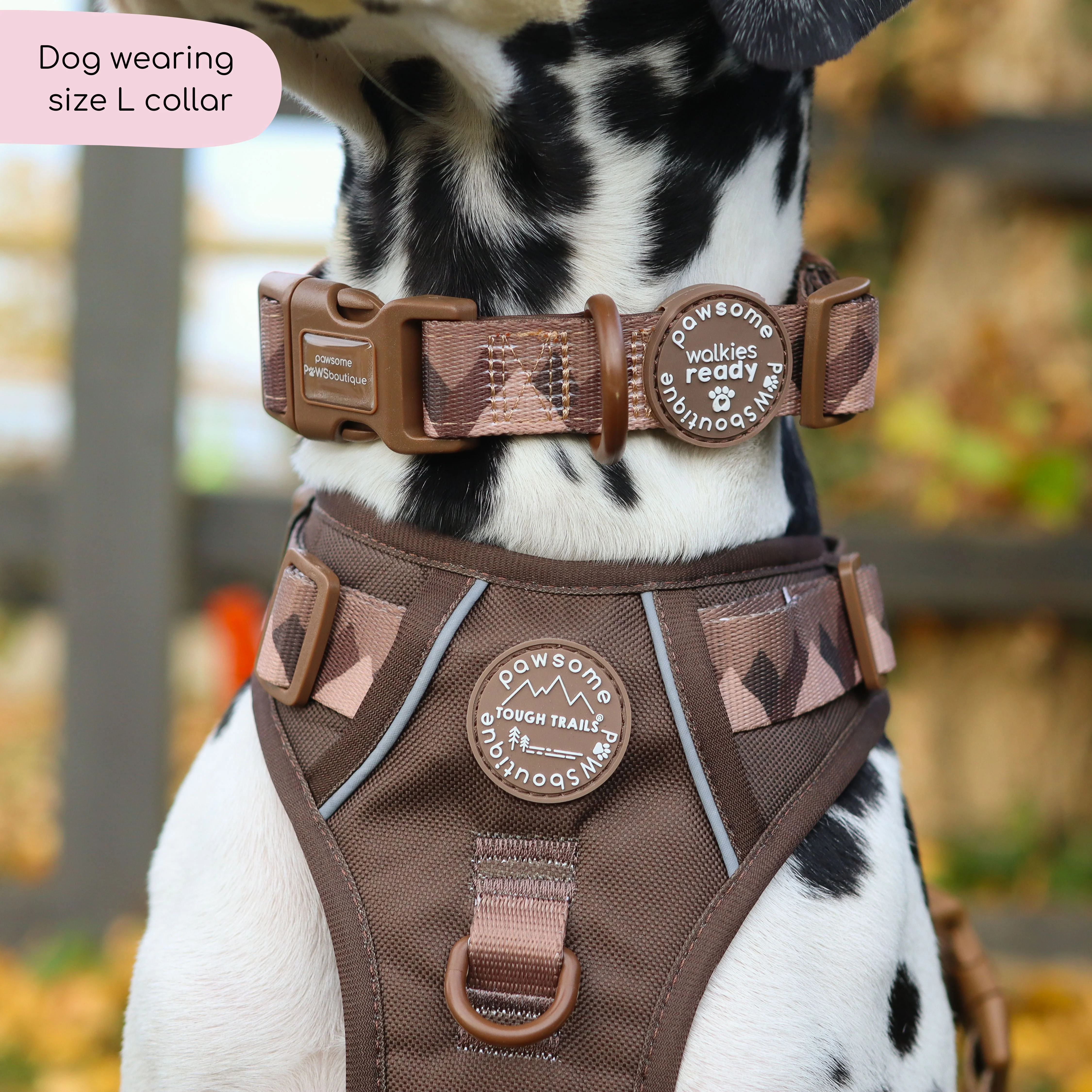 Collar – Walkies Ready® Chocolate Brown - Image 6