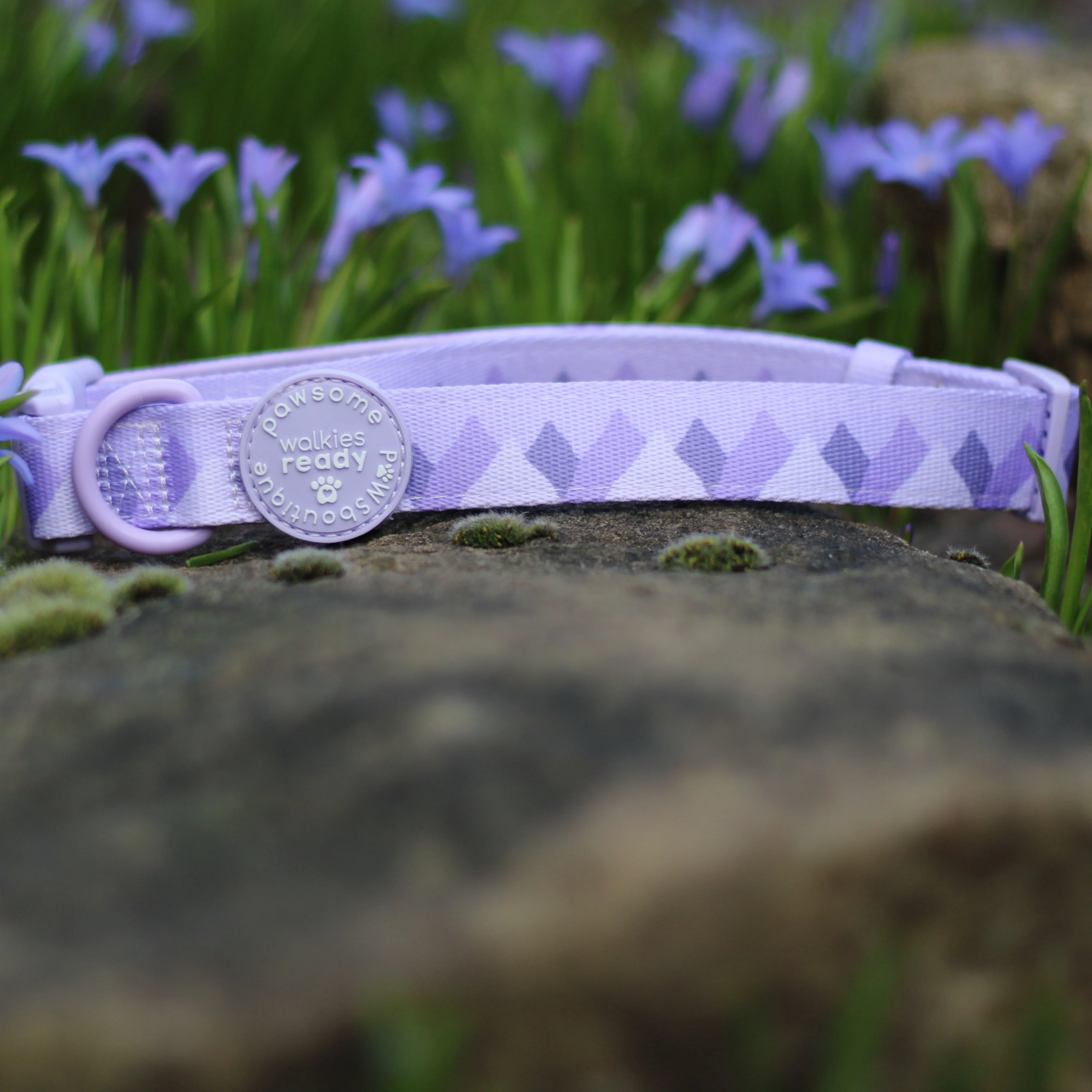 Collar - Walkies Ready® Lavender Lilac - Image 5