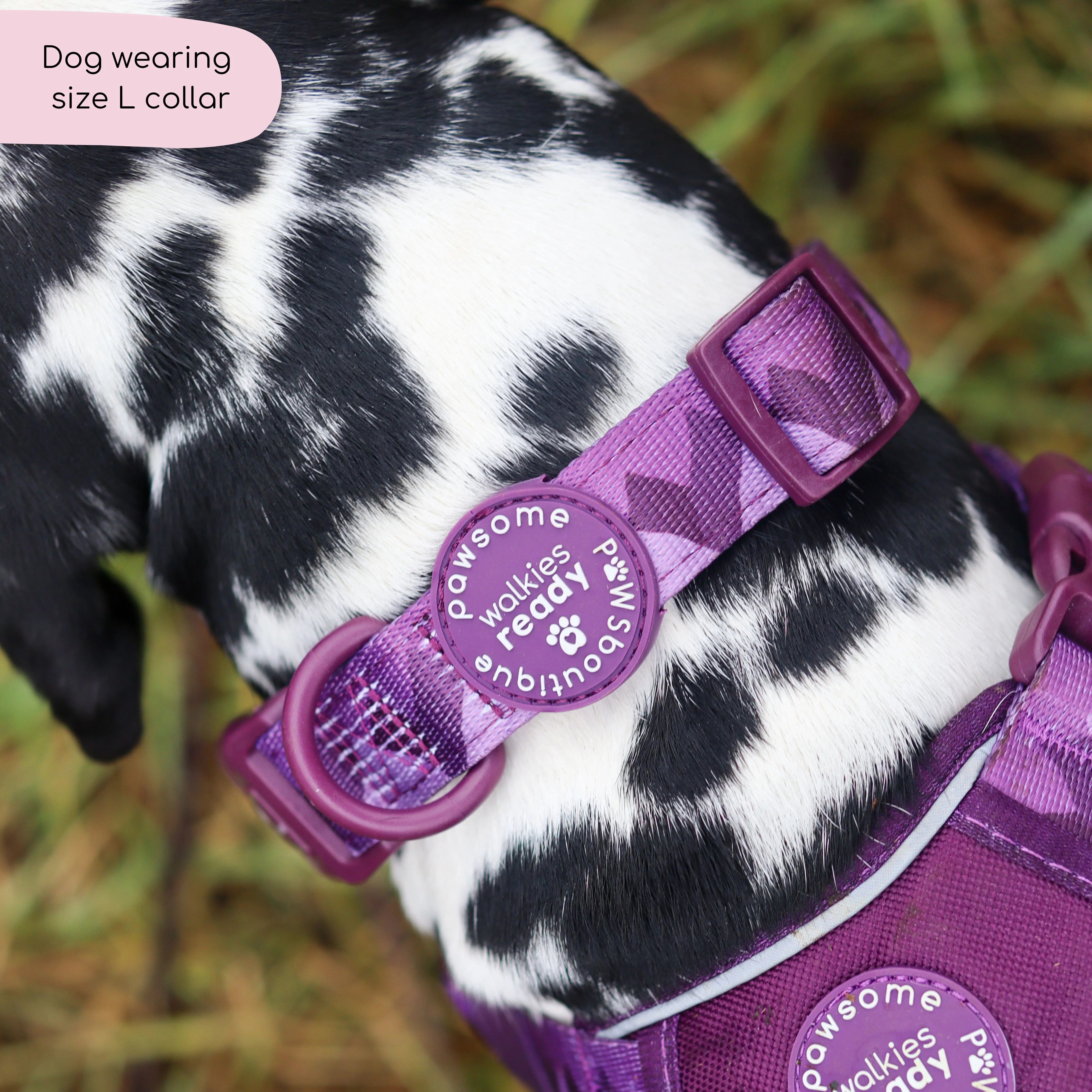 Collar – Walkies Ready® Plum - Image 4