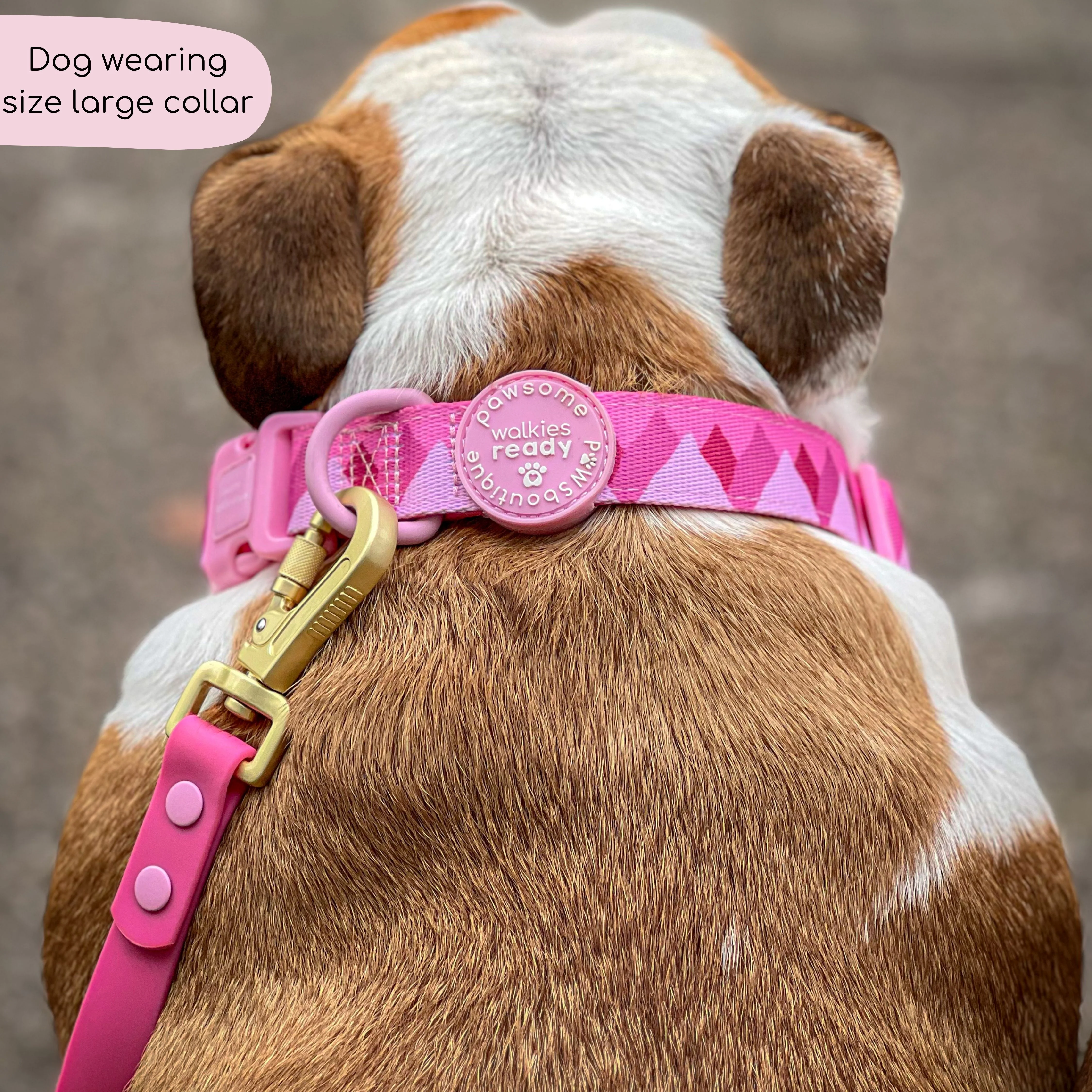 Collar - Walkies Ready® Raspberry Pink - Image 3