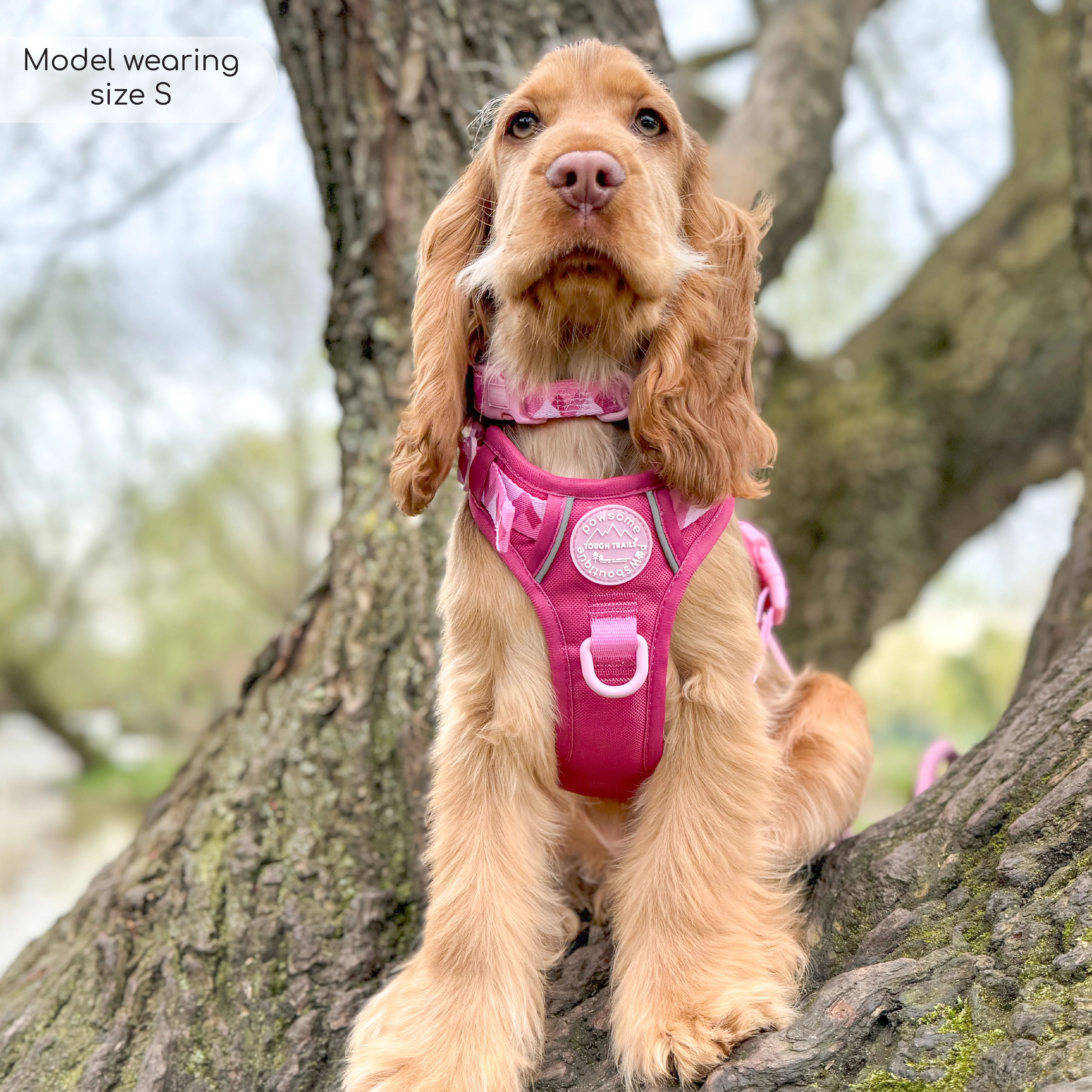 Collar - Walkies Ready® Raspberry Pink - Image 7
