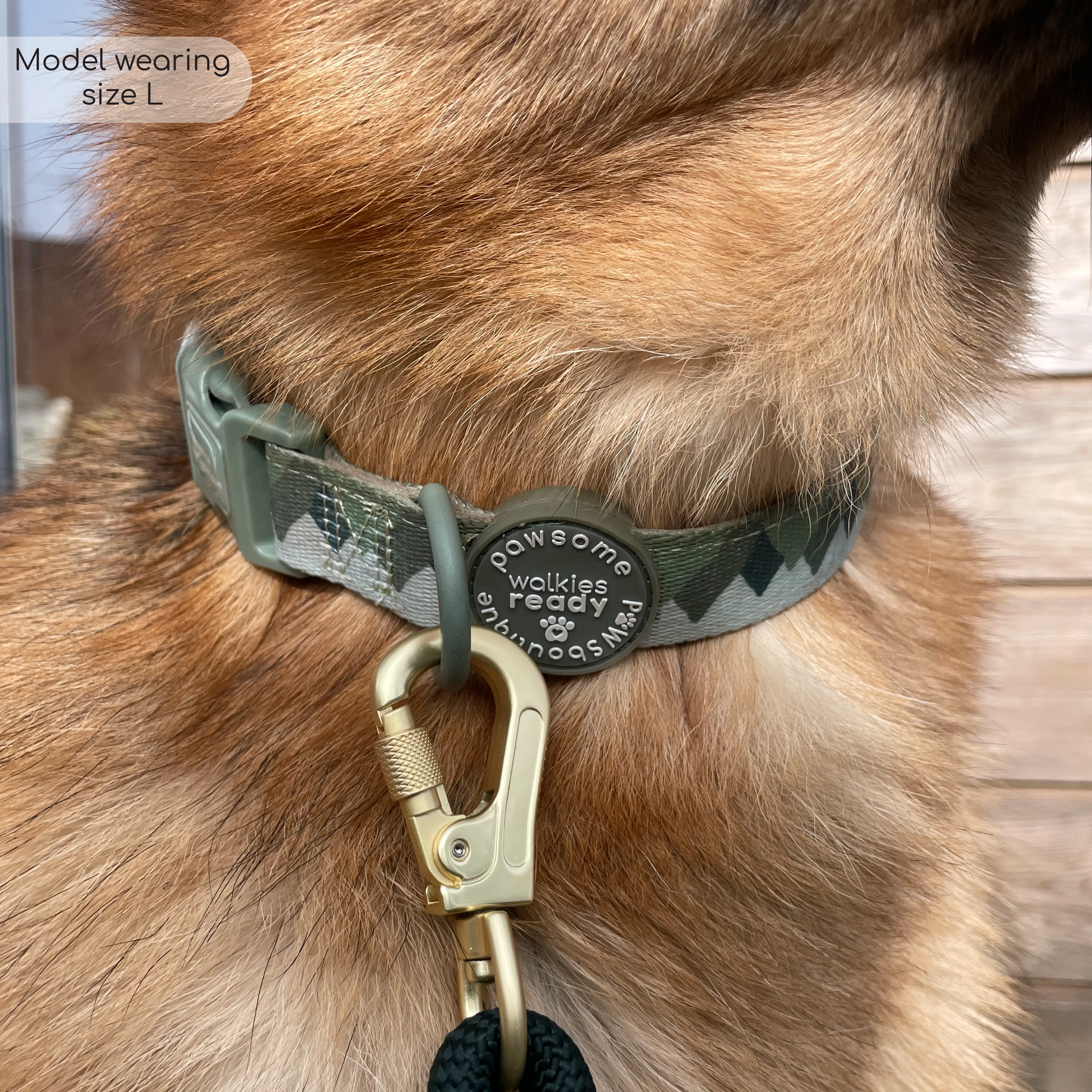 Collar - Walkies Ready® Forest Green - Image 13