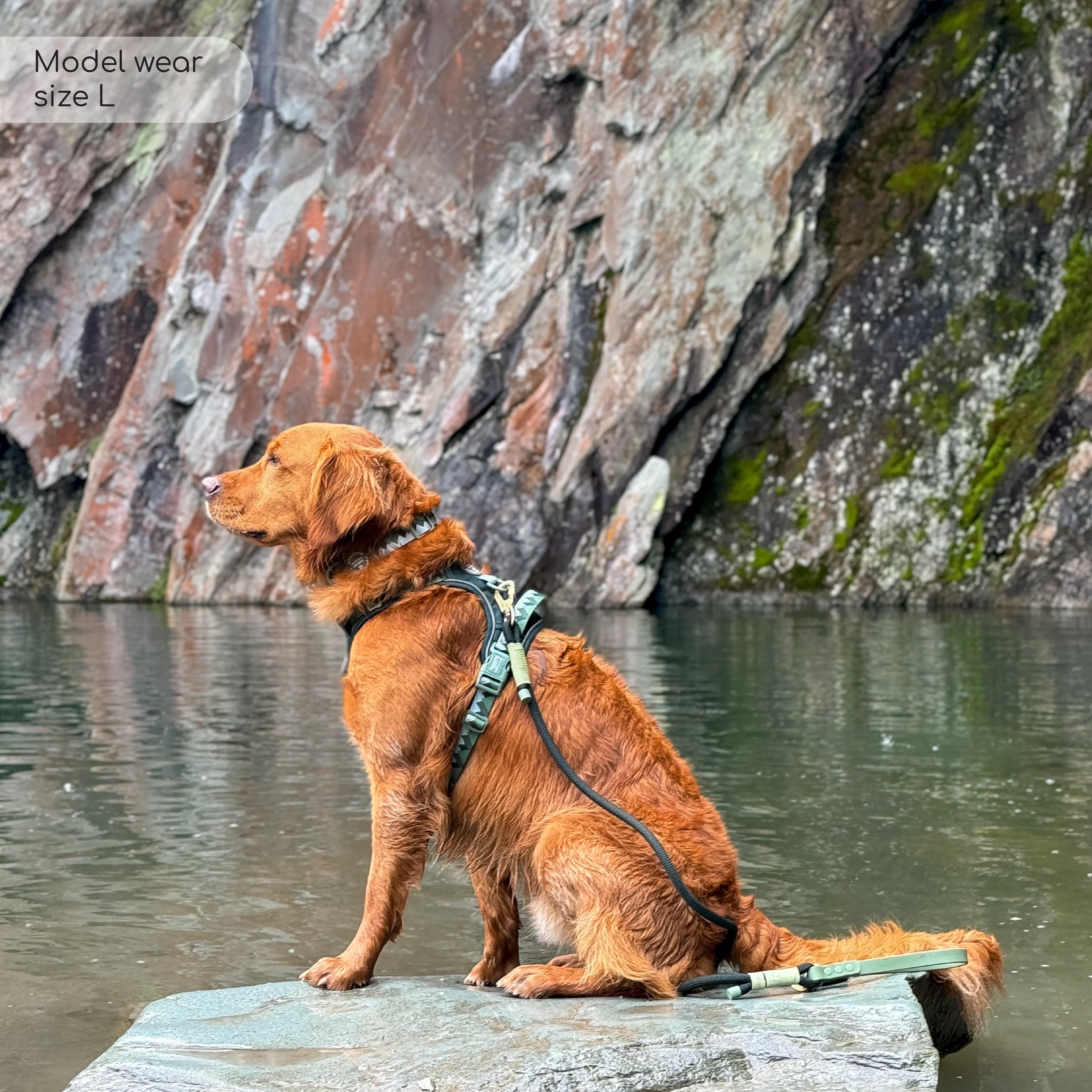 Tough Trails™ Harness - Walkies Ready® Forest Green - Image 12