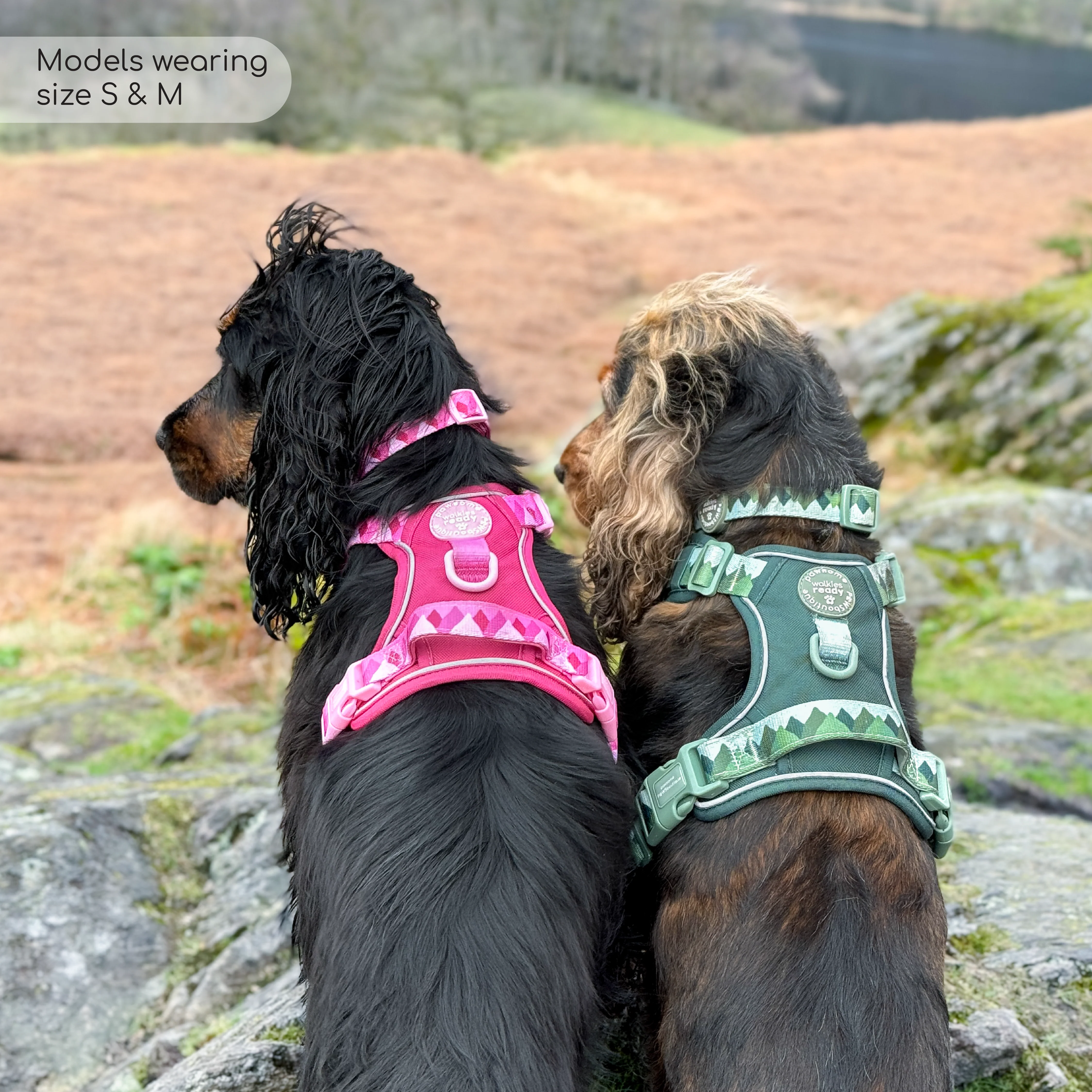 Tough Trails™ Harness - Walkies Ready® Forest Green - Image 20