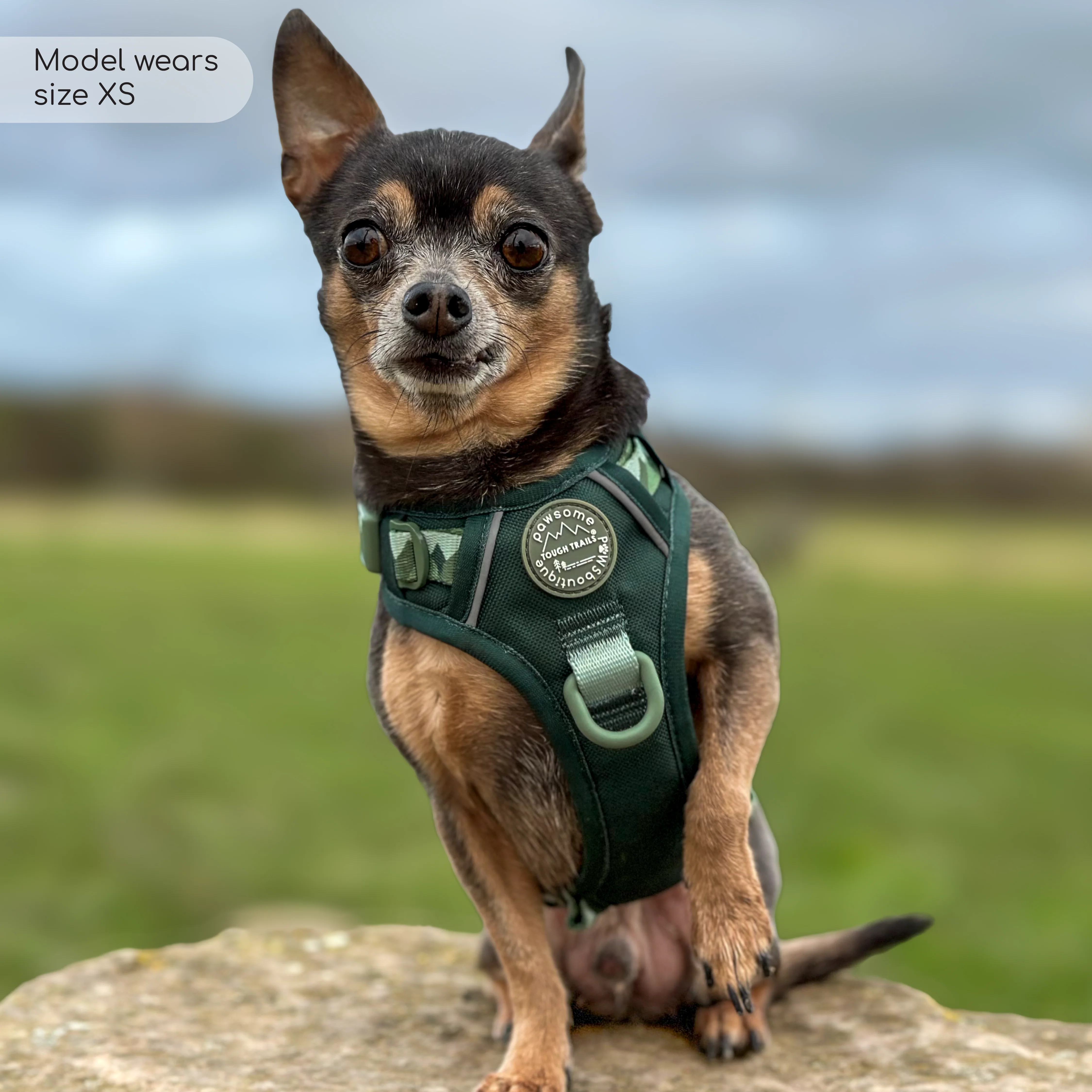Tough Trails™ Harness - Walkies Ready® Forest Green - Image 21