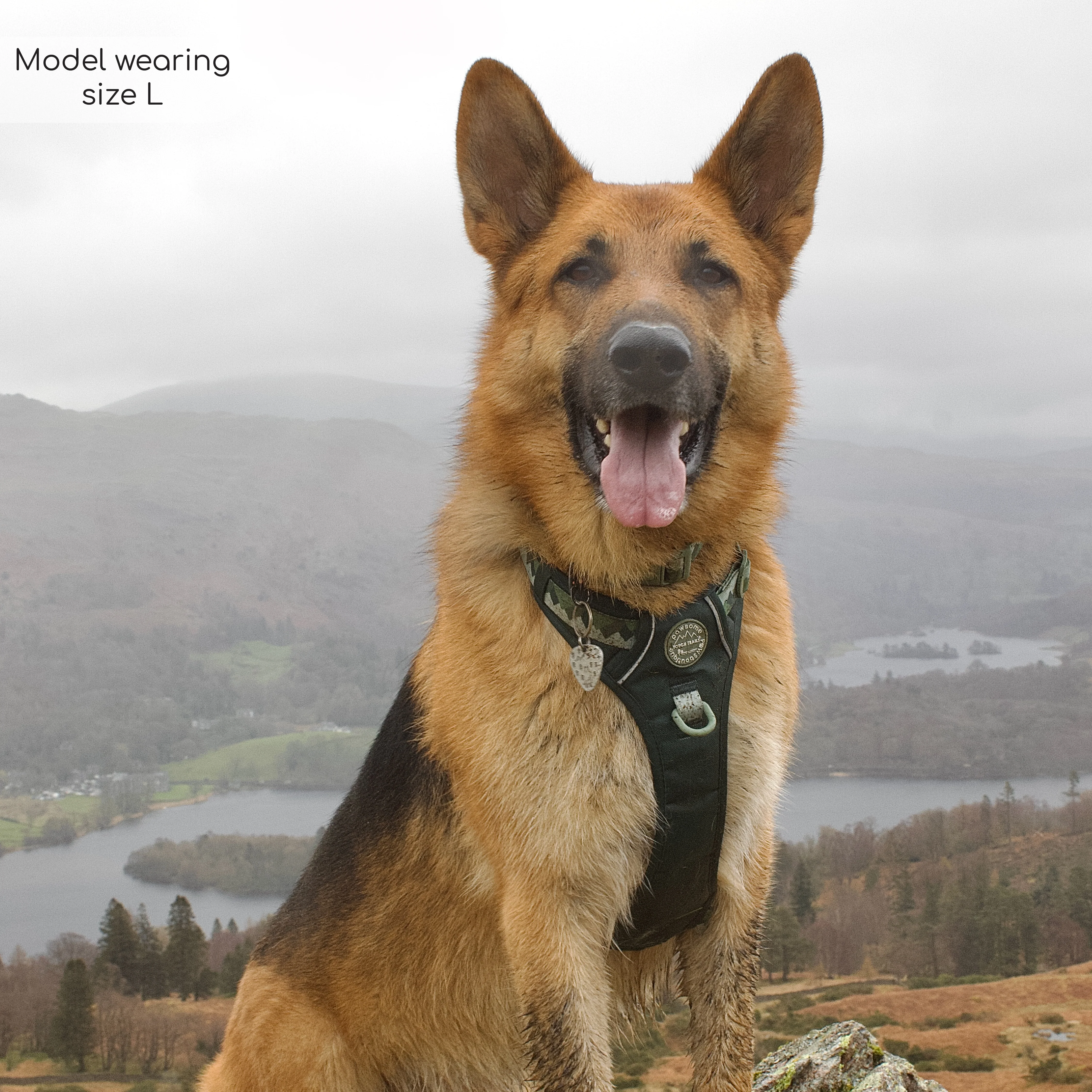 Tough Trails™ Harness - Walkies Ready® Forest Green - Image 37