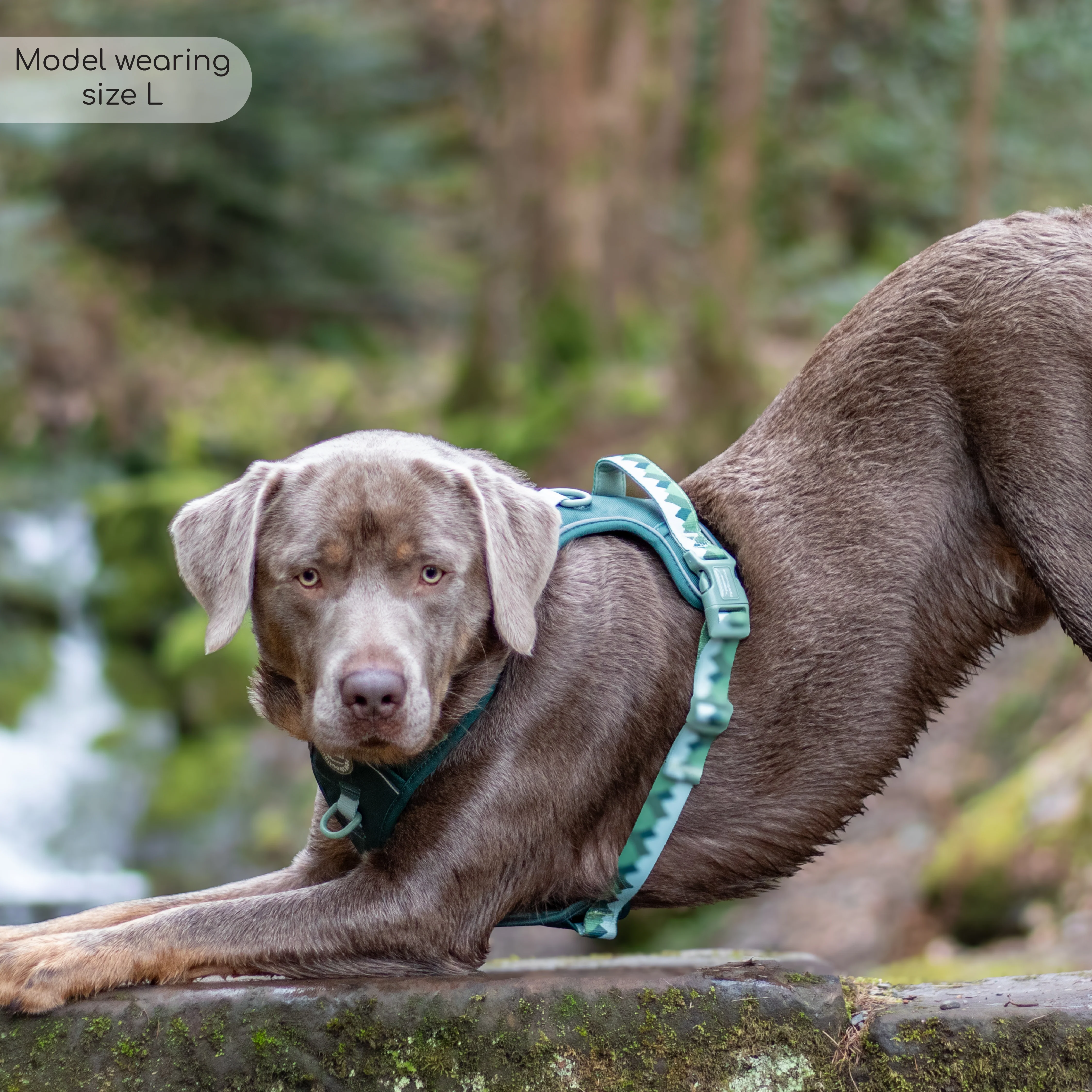 Tough Trails™ Harness - Walkies Ready® Forest Green - Image 38