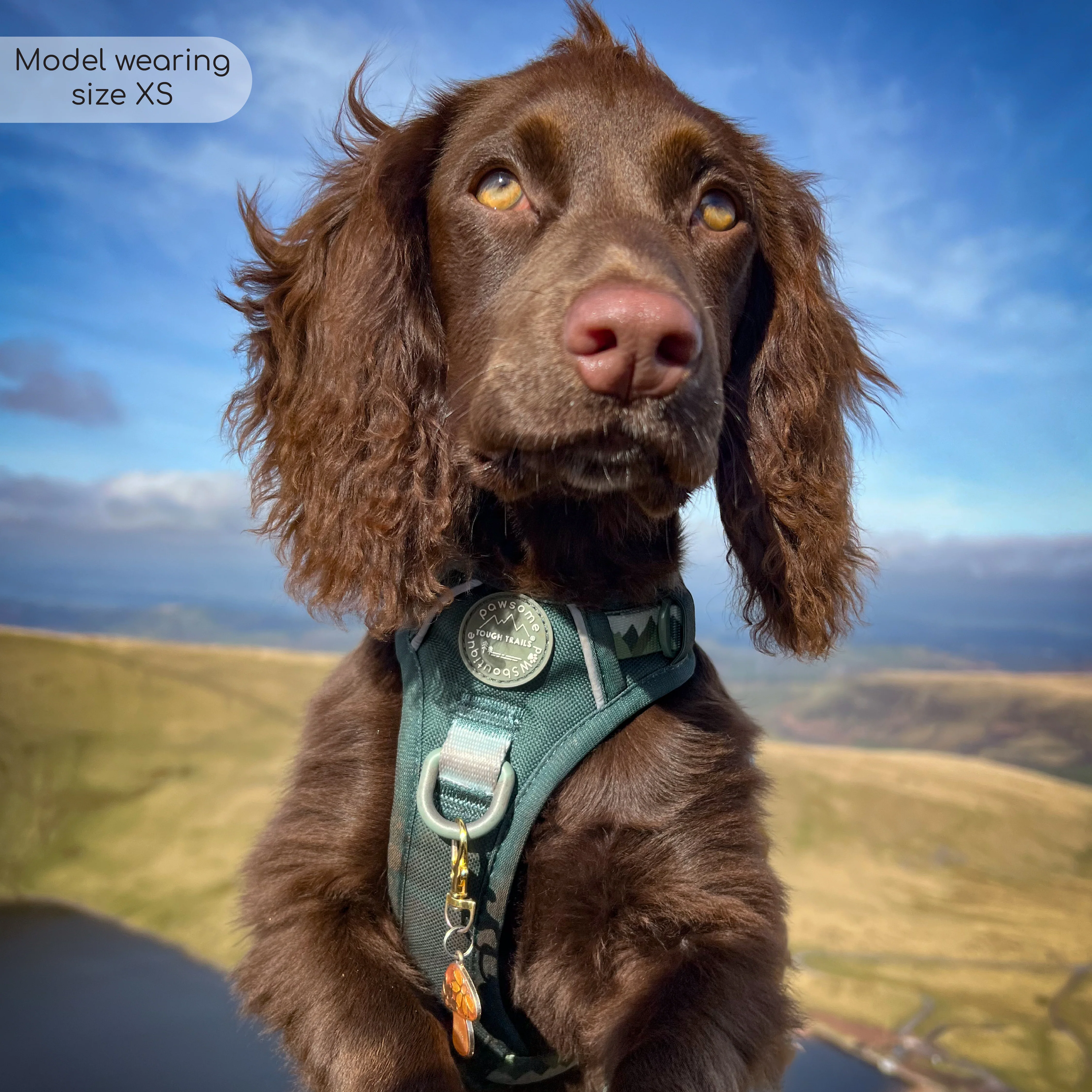 Tough Trails™ Harness - Walkies Ready® Forest Green - Image 42