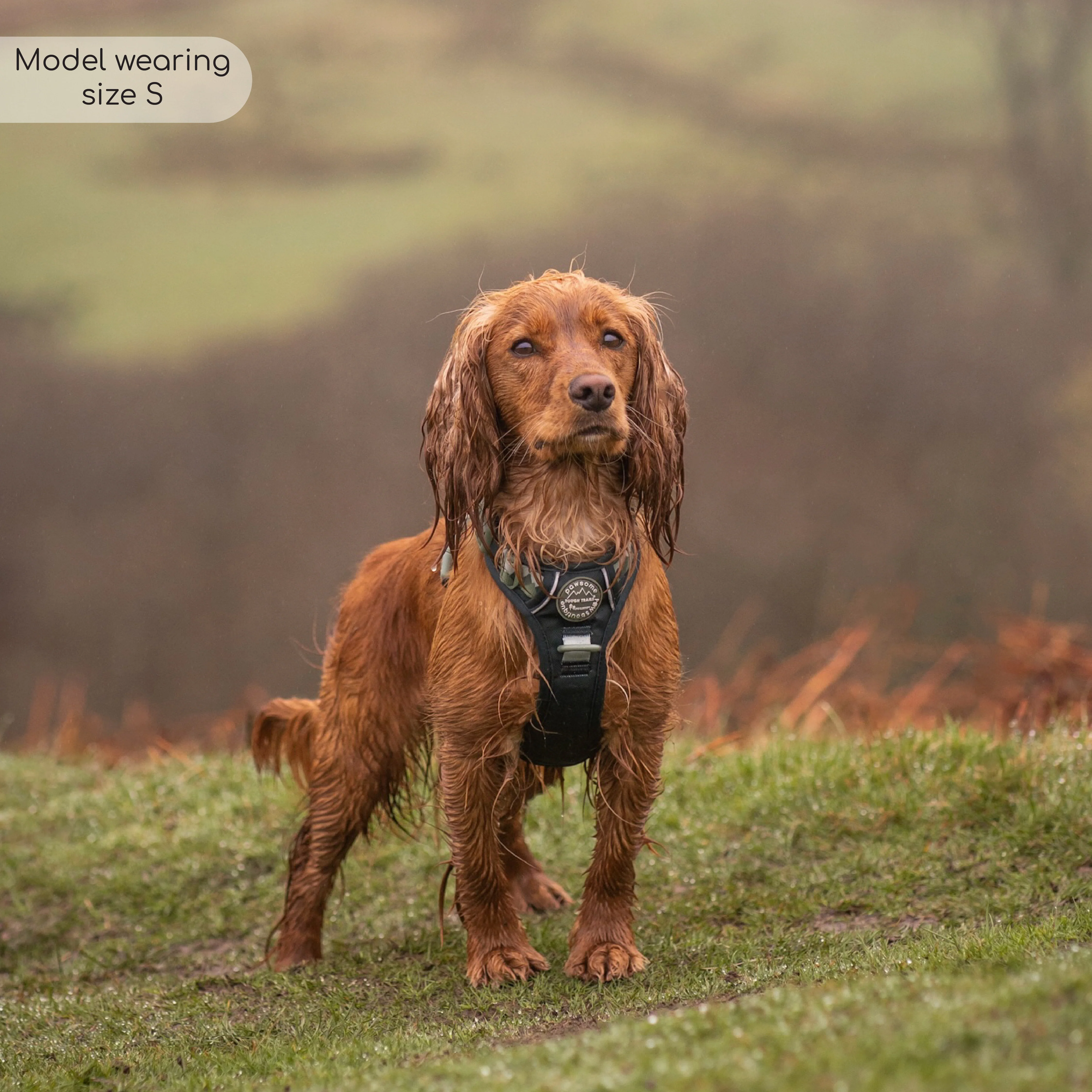 Tough Trails™ Harness - Walkies Ready® Forest Green - Image 45