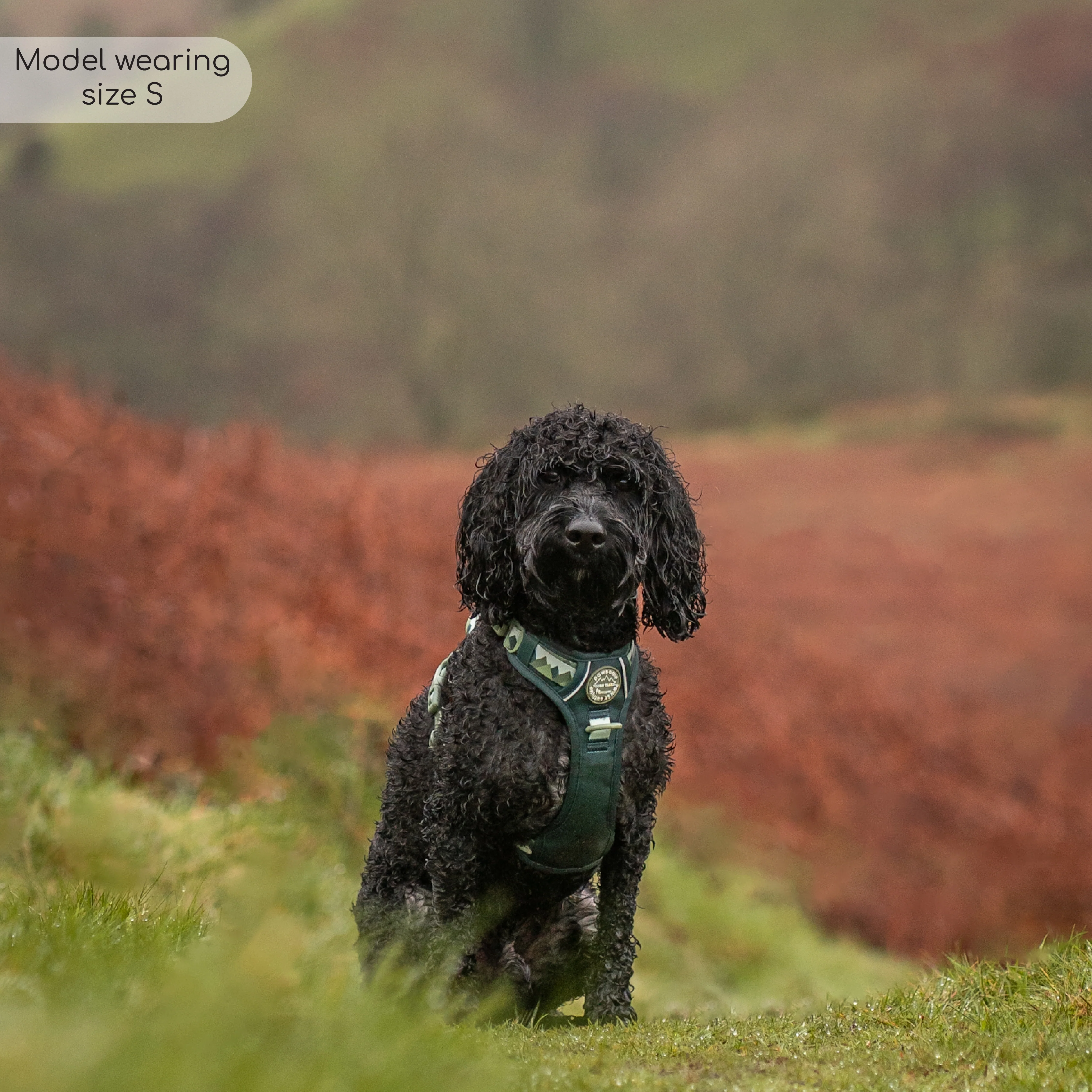 Tough Trails™ Harness - Walkies Ready® Forest Green - Image 46