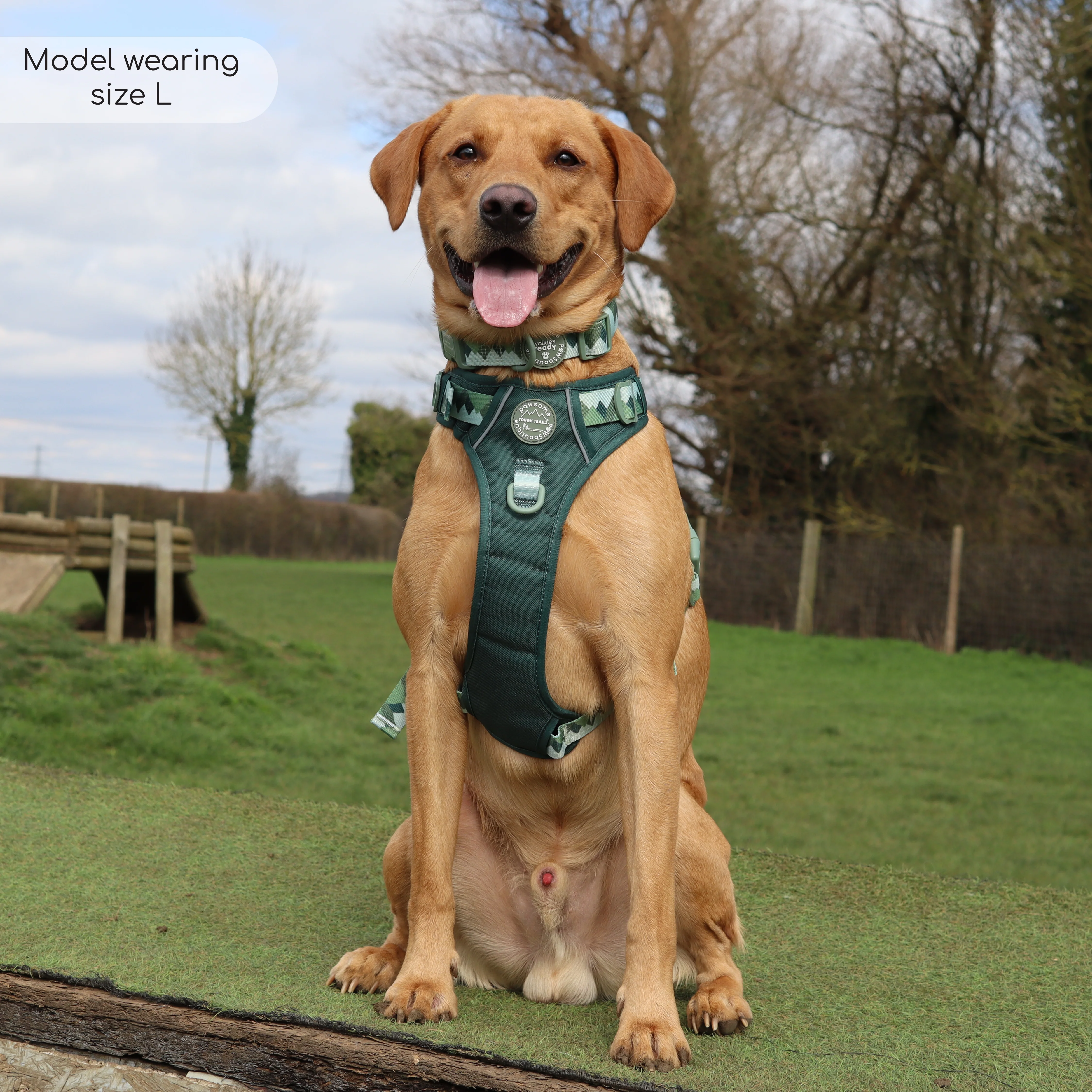 Tough Trails™ Harness - Walkies Ready® Forest Green - Image 49