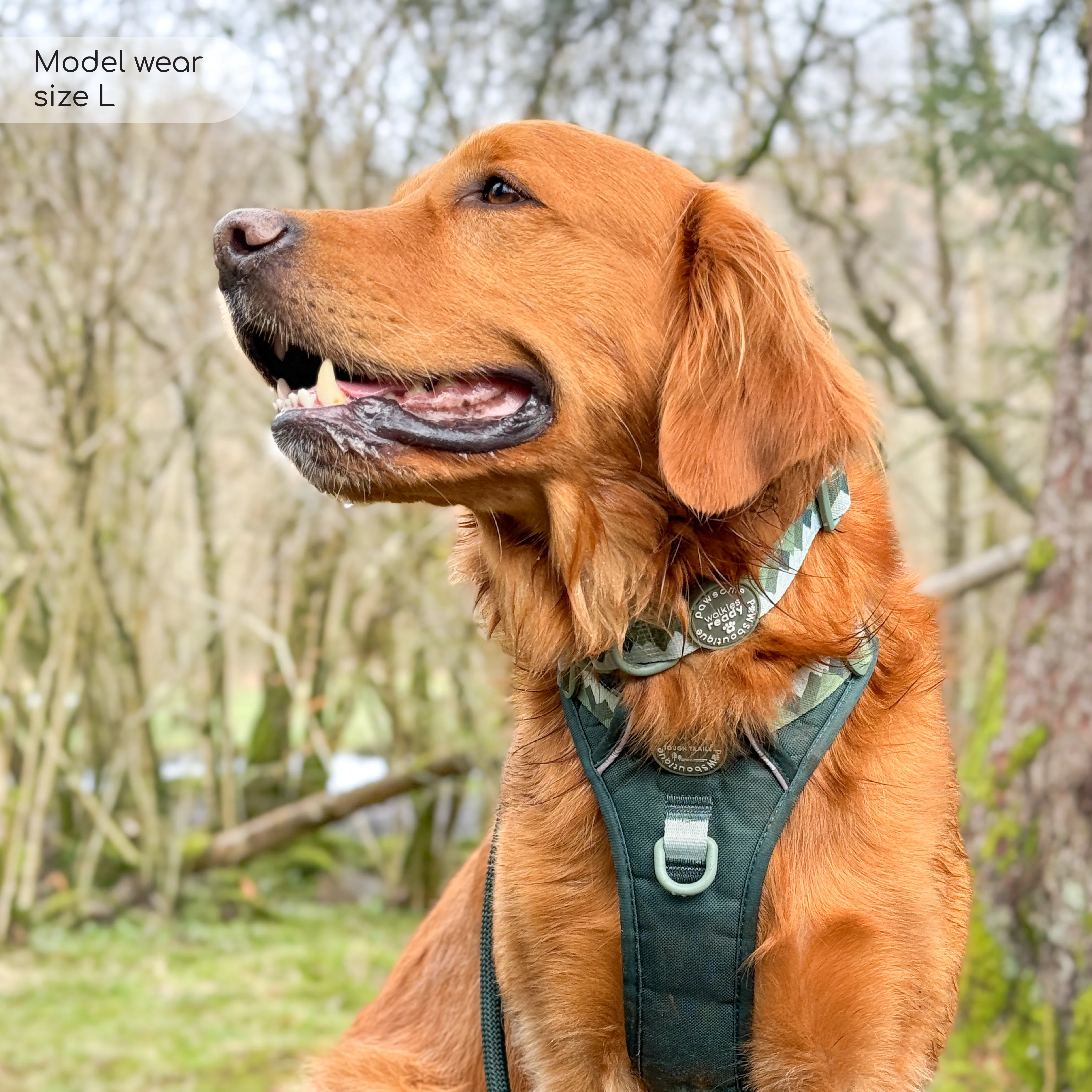 Tough Trails™ Harness - Walkies Ready® Forest Green - Image 9