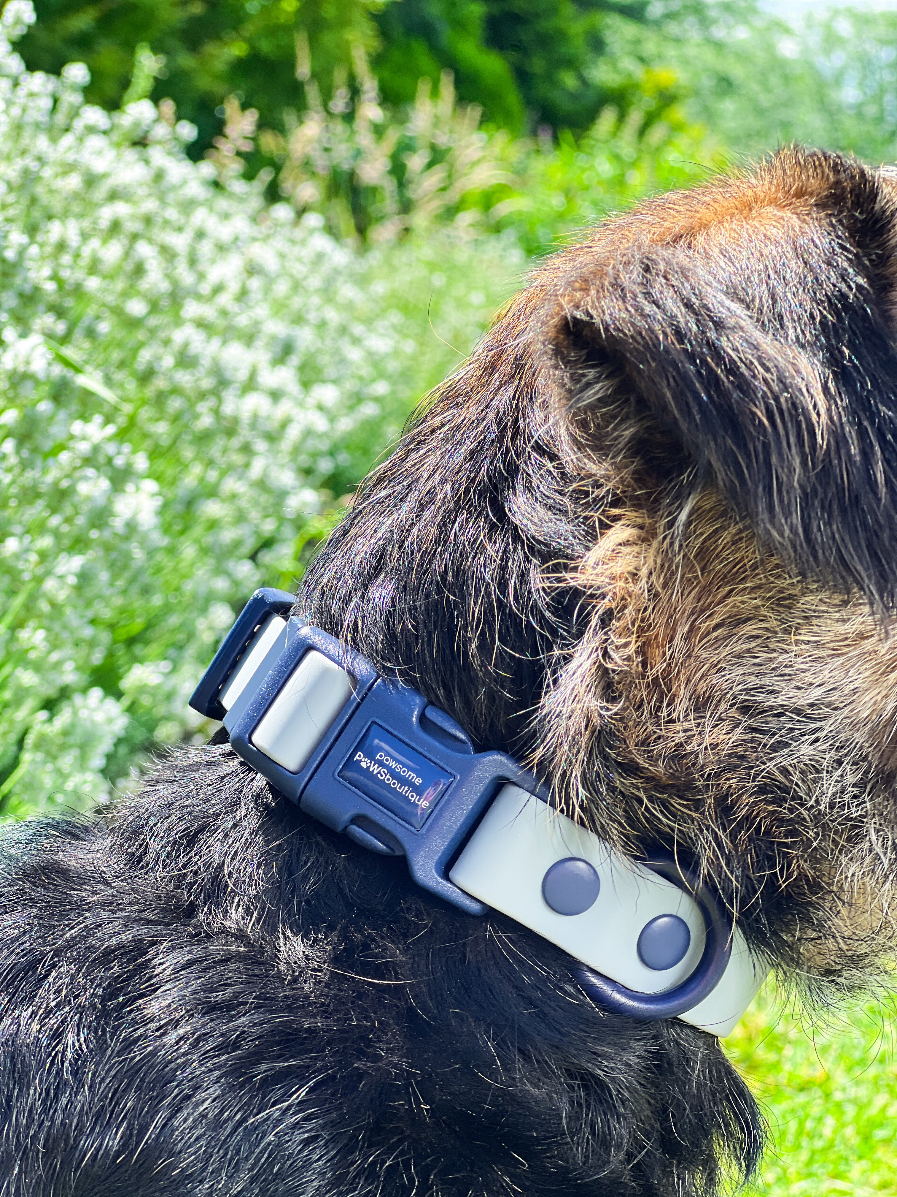 Waterproof Collar - Dusky Blue + Navy - Image 10