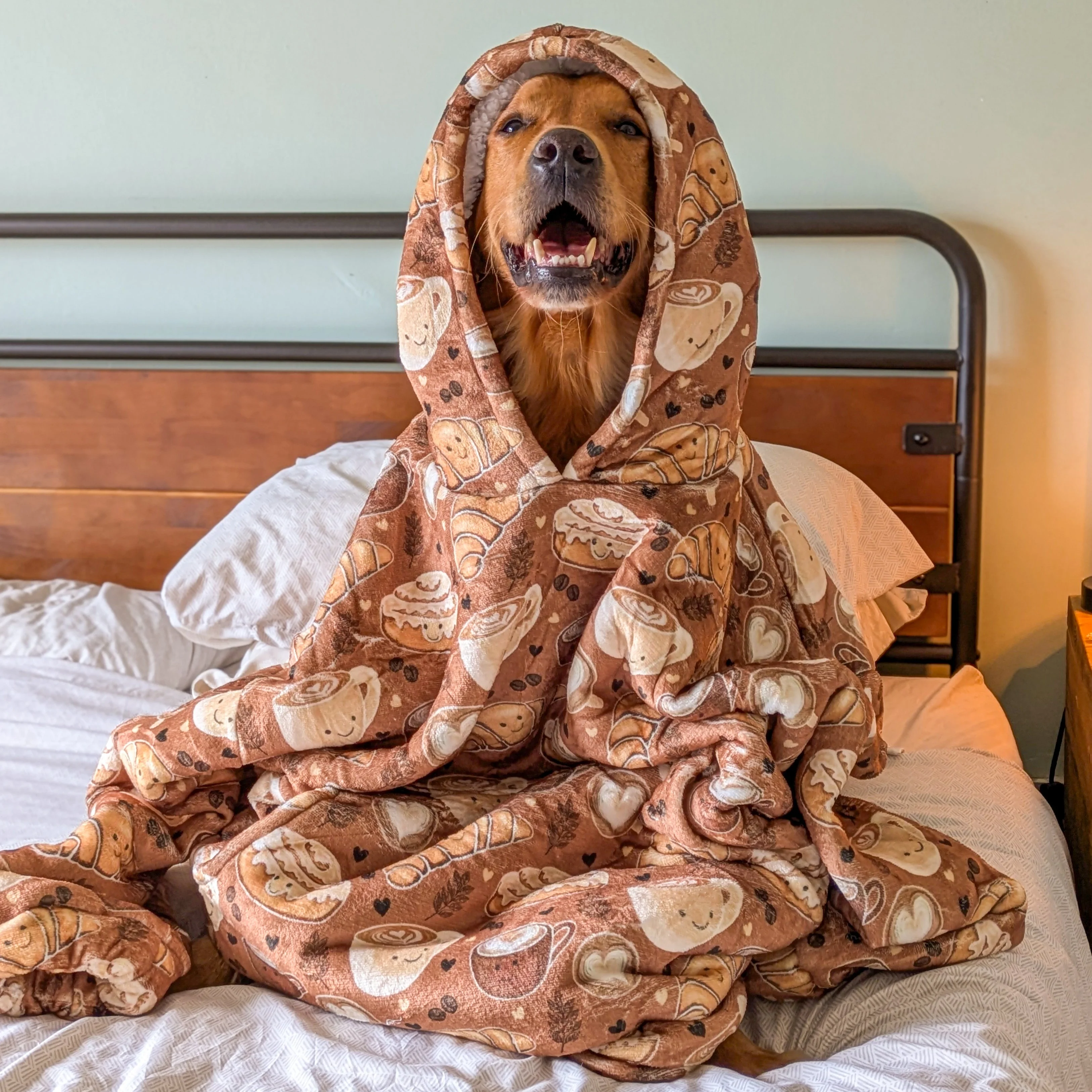 Cosy Comfort - Cinnamon Spice - Image 5