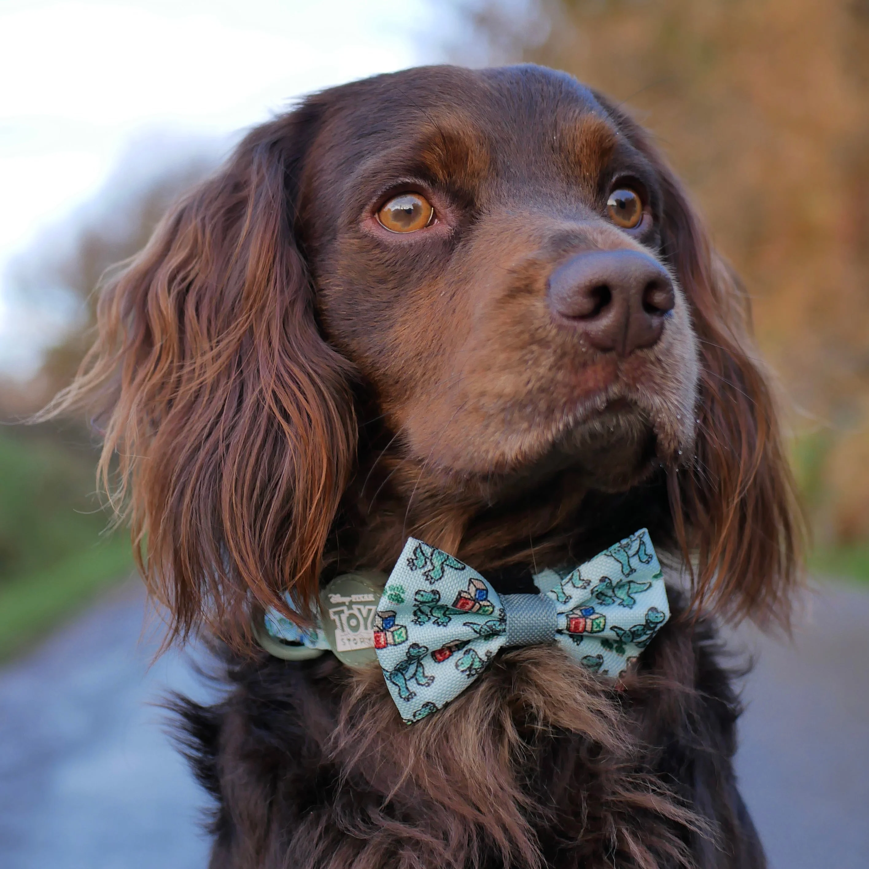 Disney© Bow Tie - Rex - Image 3