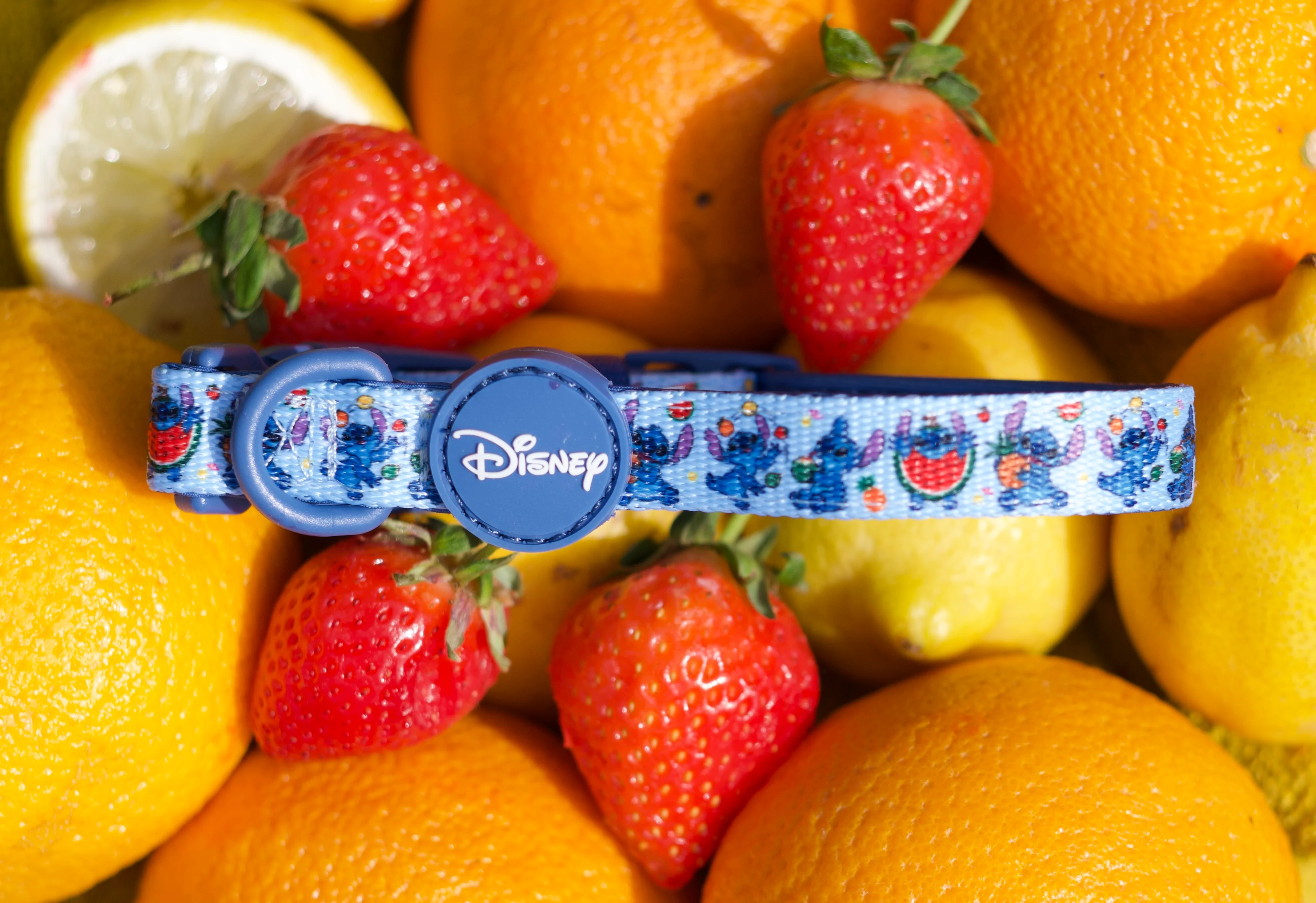 Disney© Collar - Stitch's Fruit Fiesta - Image 3