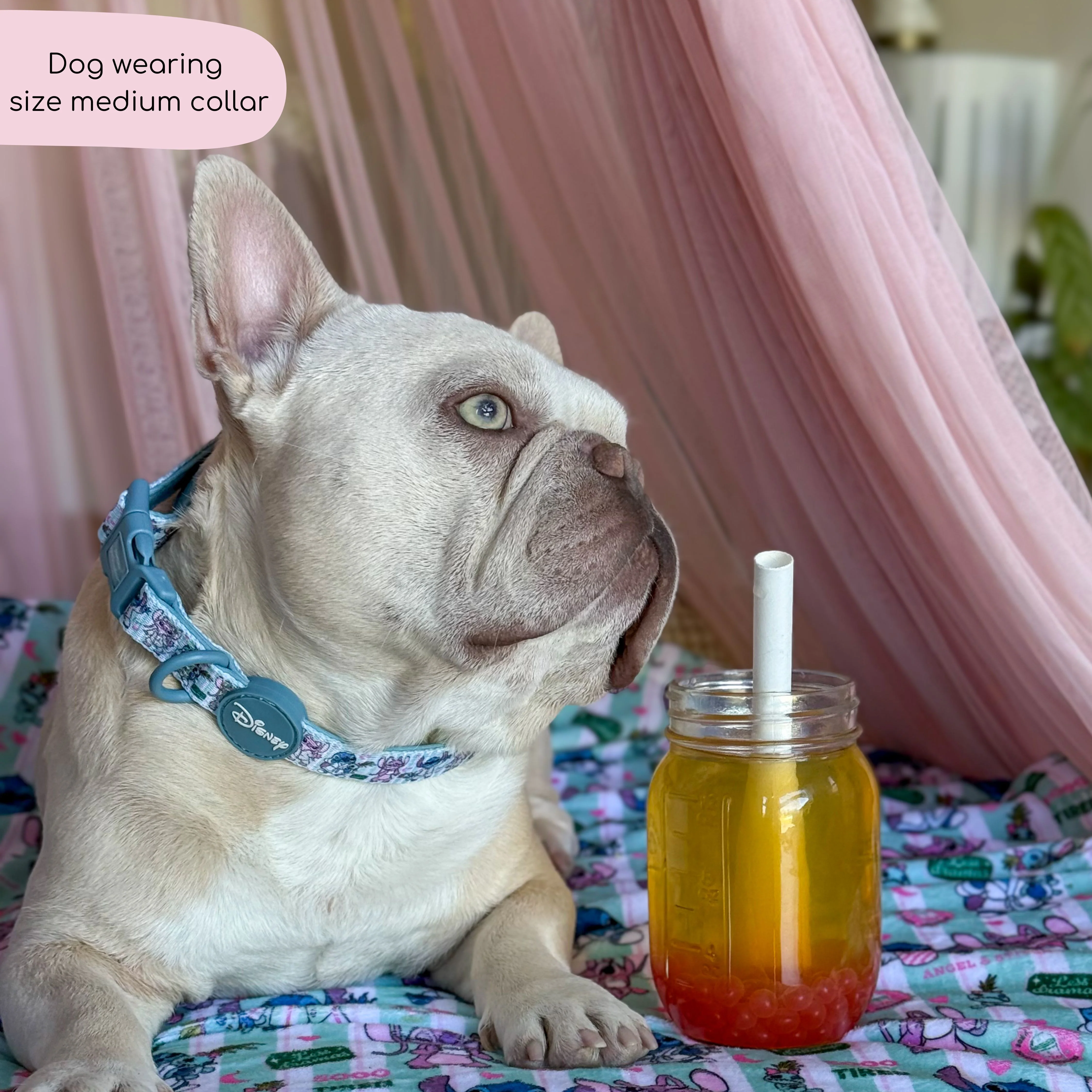Disney© Collar - Stitch's Slumber Party - Image 8
