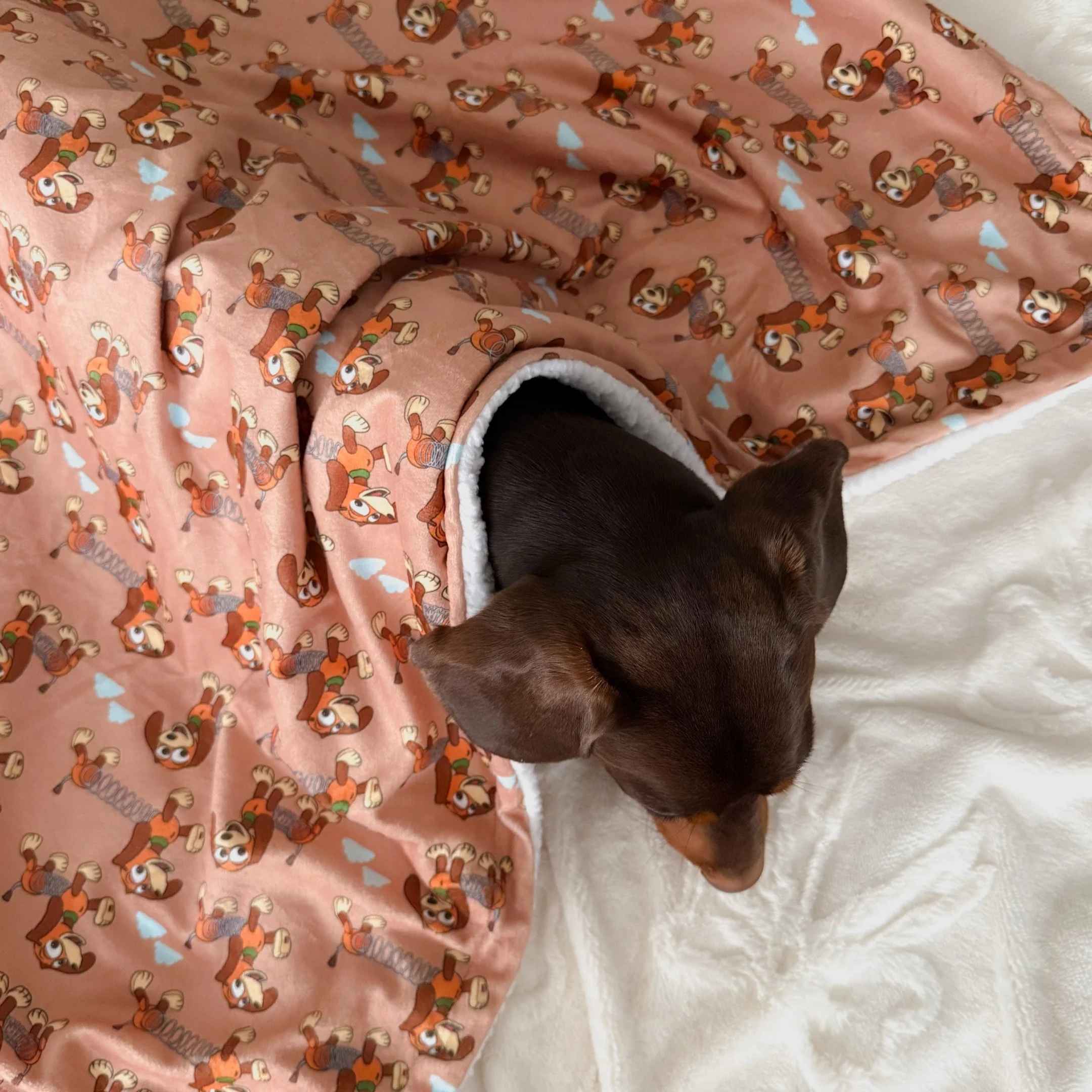 Disney© Dog Blanket - Slinky - Image 7