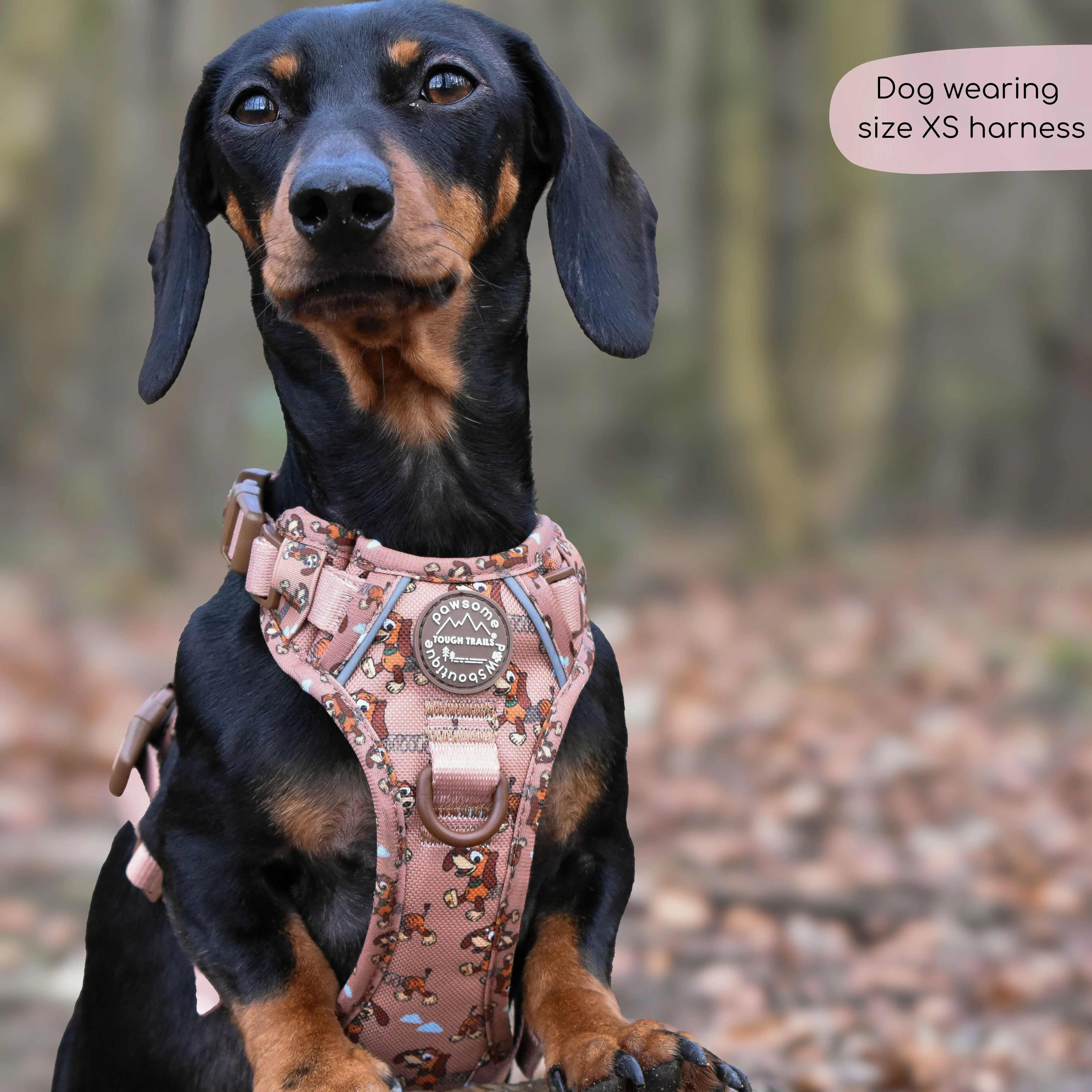 Disney© Tough Trails™ Harness - Slinky - Image 12