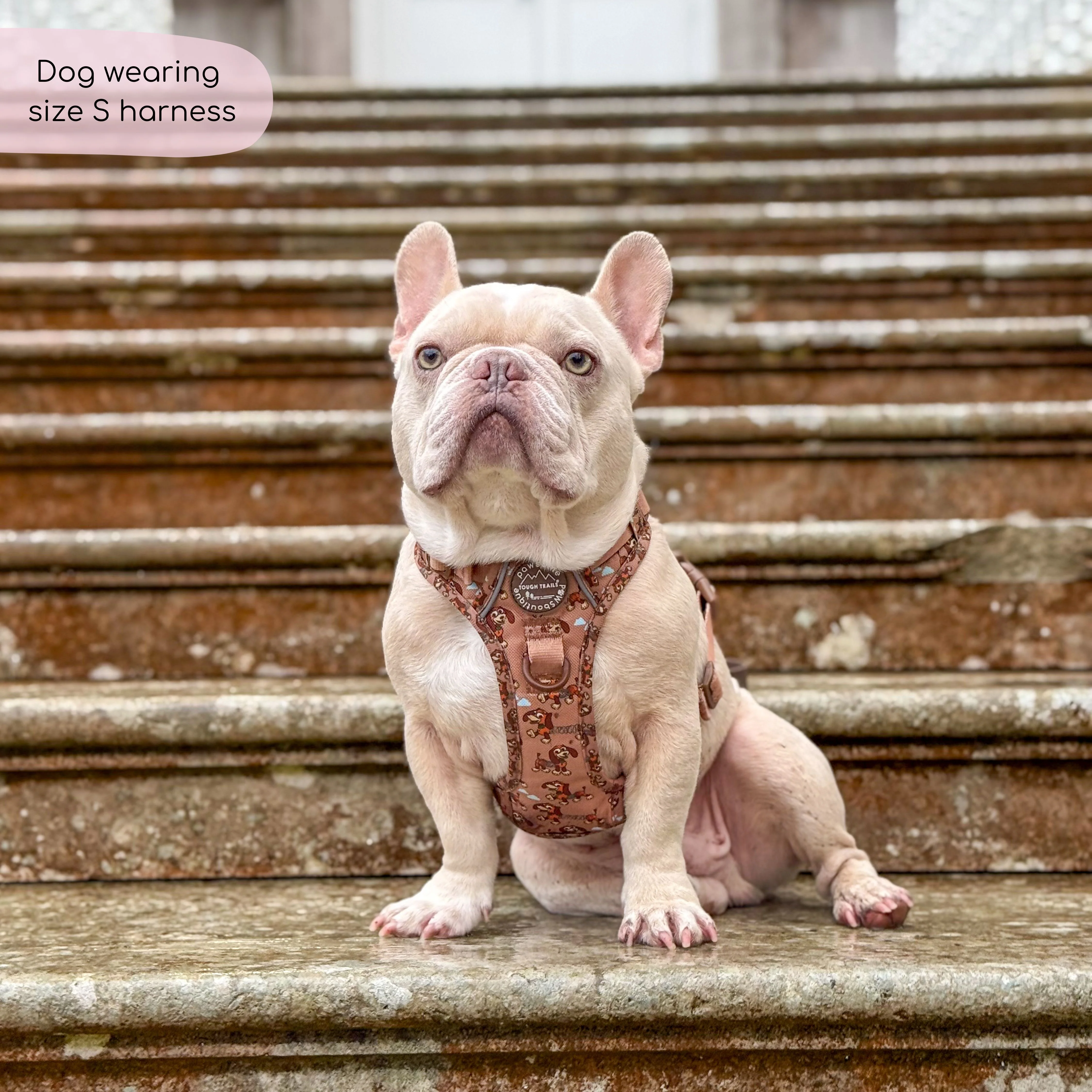 Disney© Tough Trails™ Harness - Slinky - Image 15