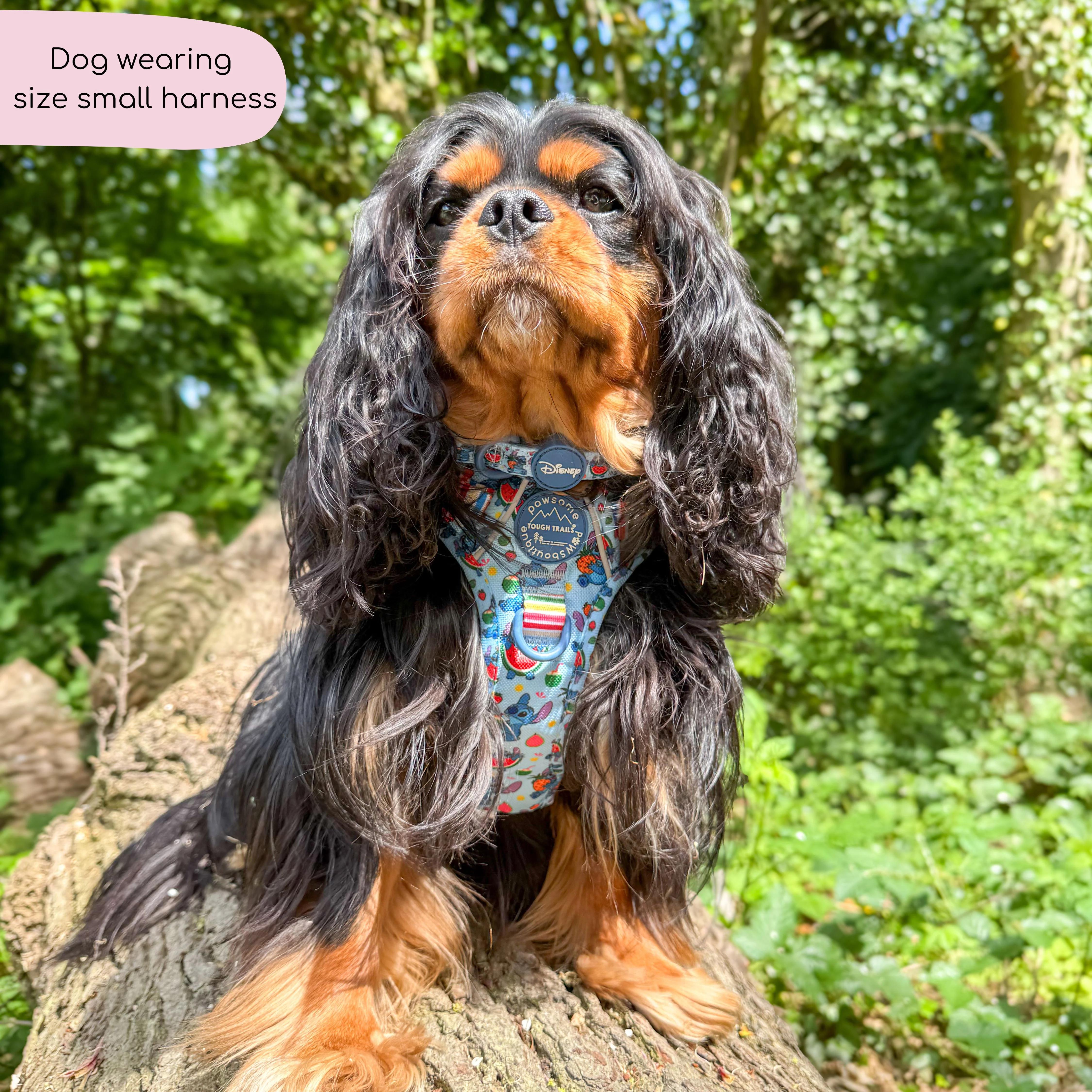 Disney© Tough Trails™ Harness - Stitch's Fruit Fiesta - Image 23