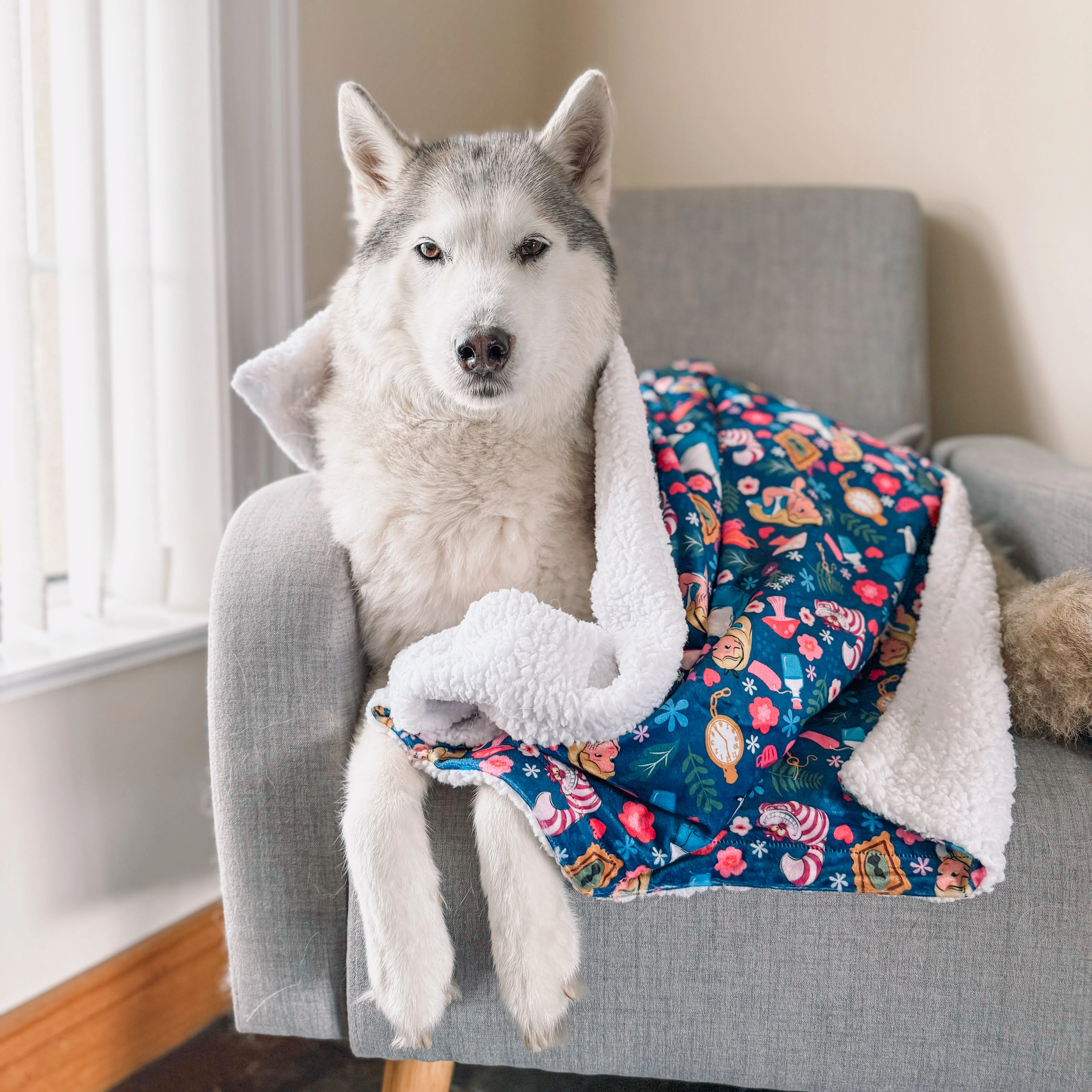 Disney© Dog Blanket - Alice In Wonderland - Image 10