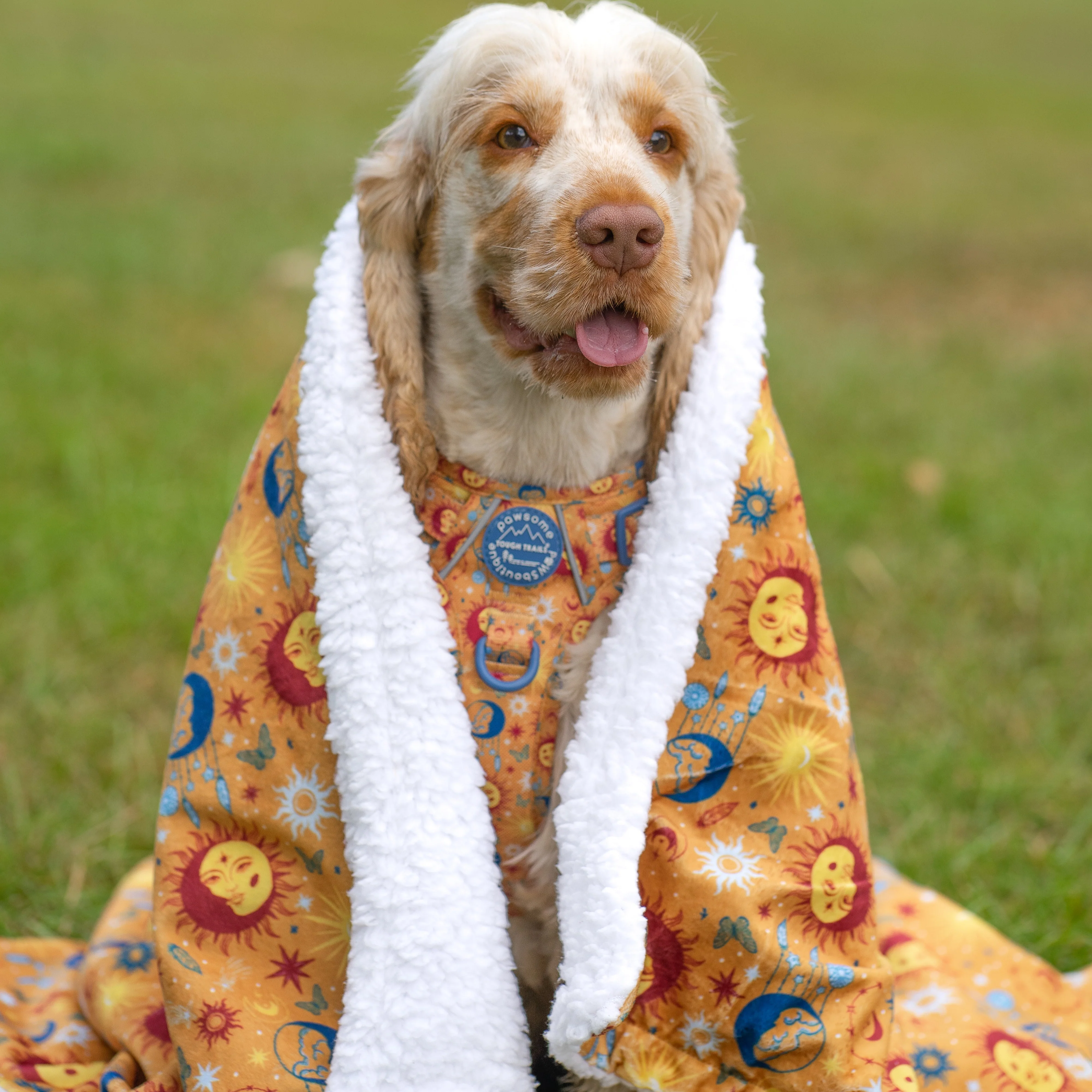 Dog Blanket - Celestial Spirit - Image 10