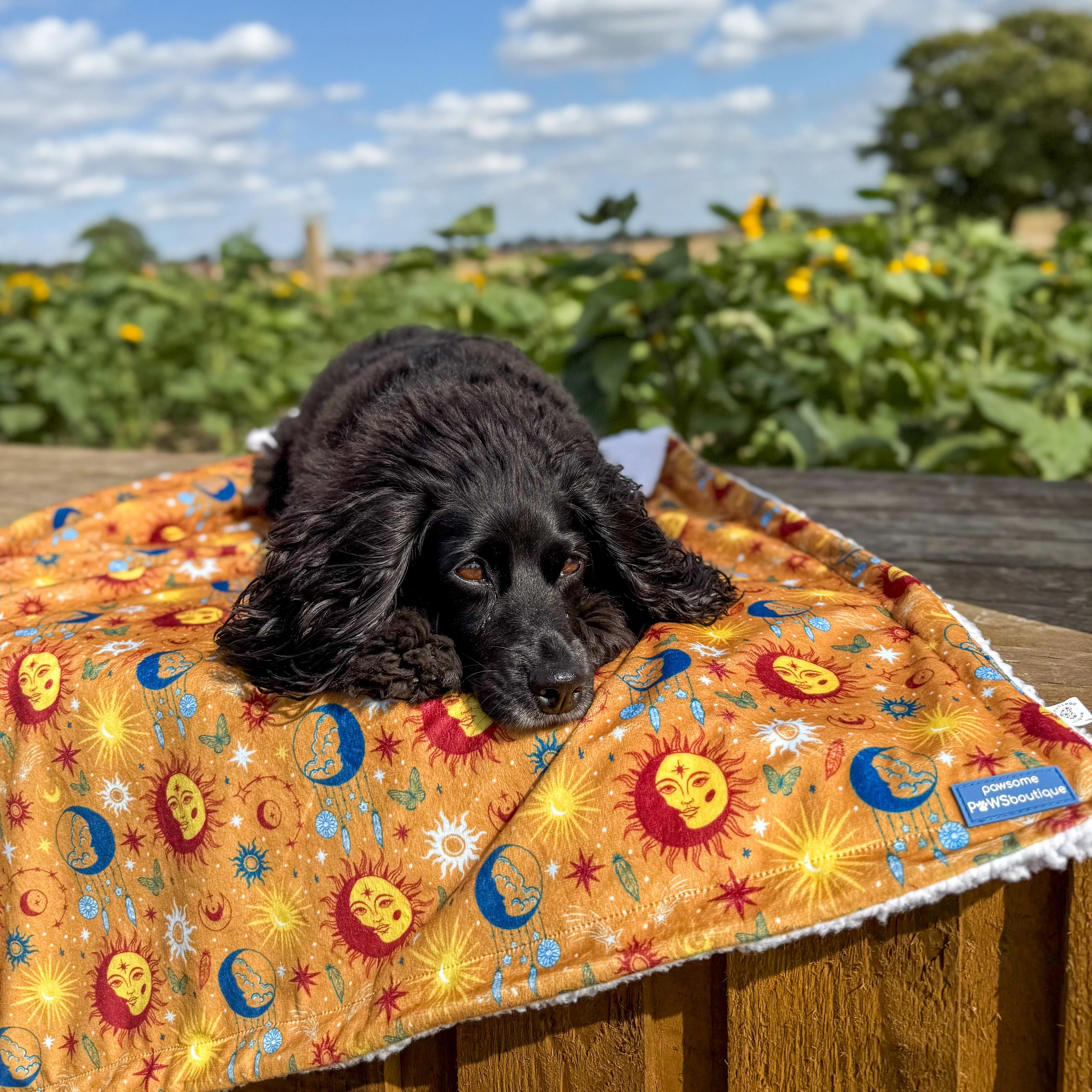 Dog Blanket - Celestial Spirit - Image 4