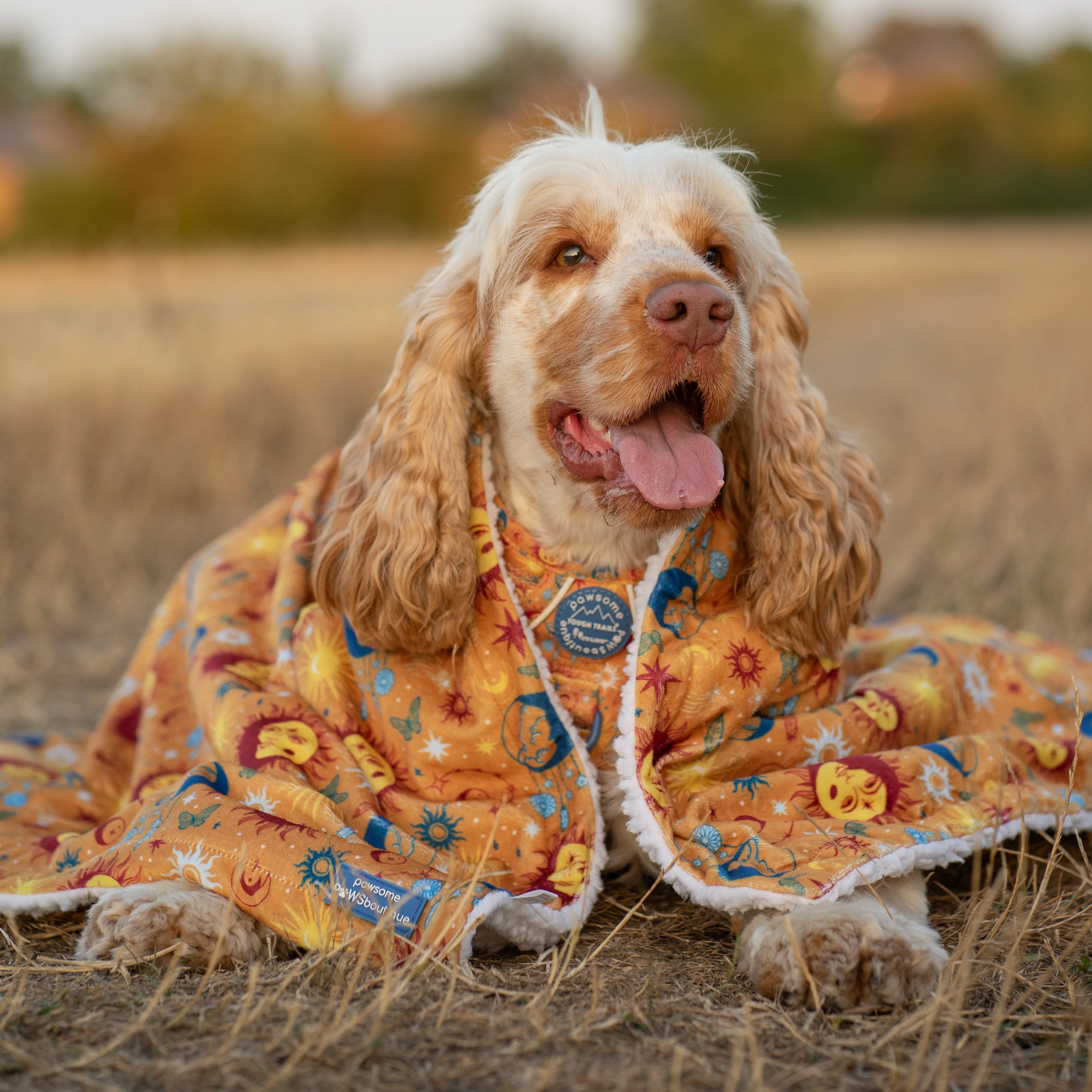 Dog Blanket - Celestial Spirit - Image 5
