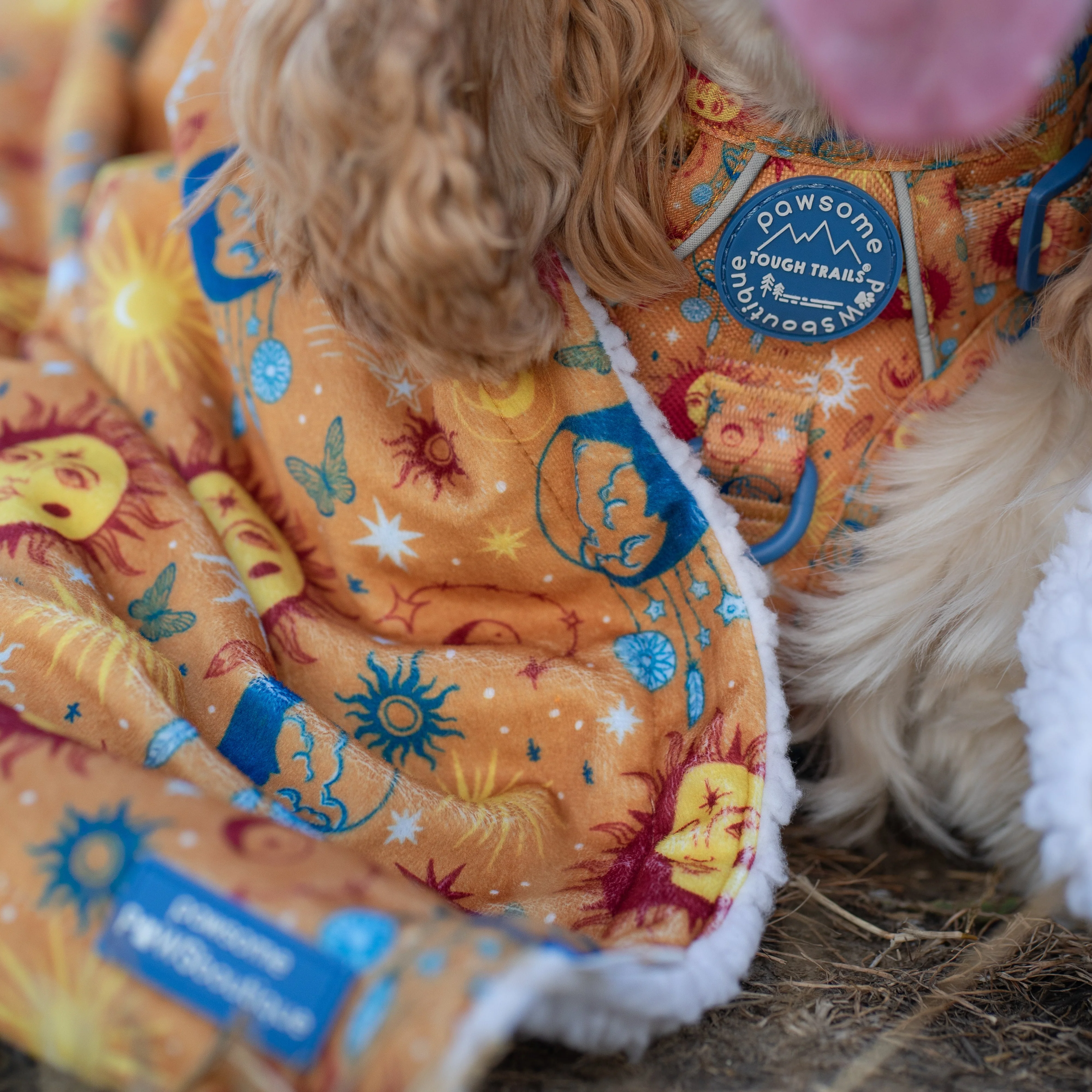 Dog Blanket - Celestial Spirit - Image 7