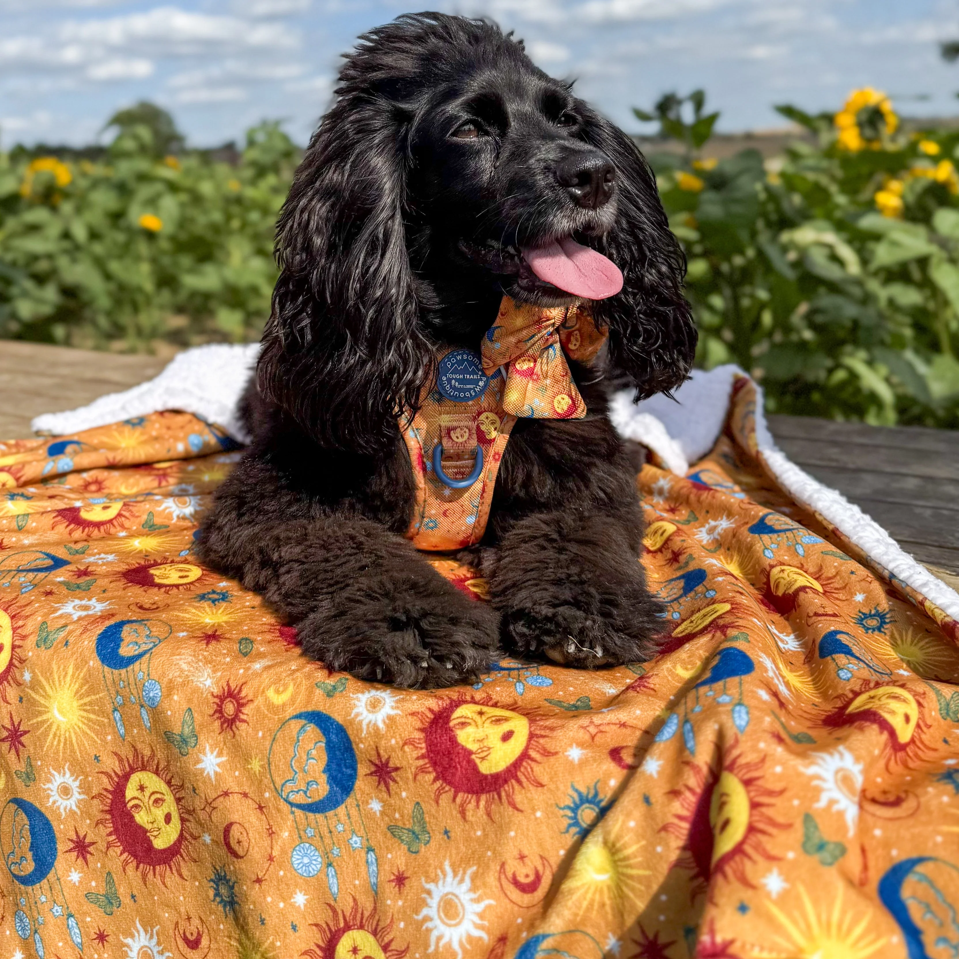 Dog Blanket - Celestial Spirit - Image 8