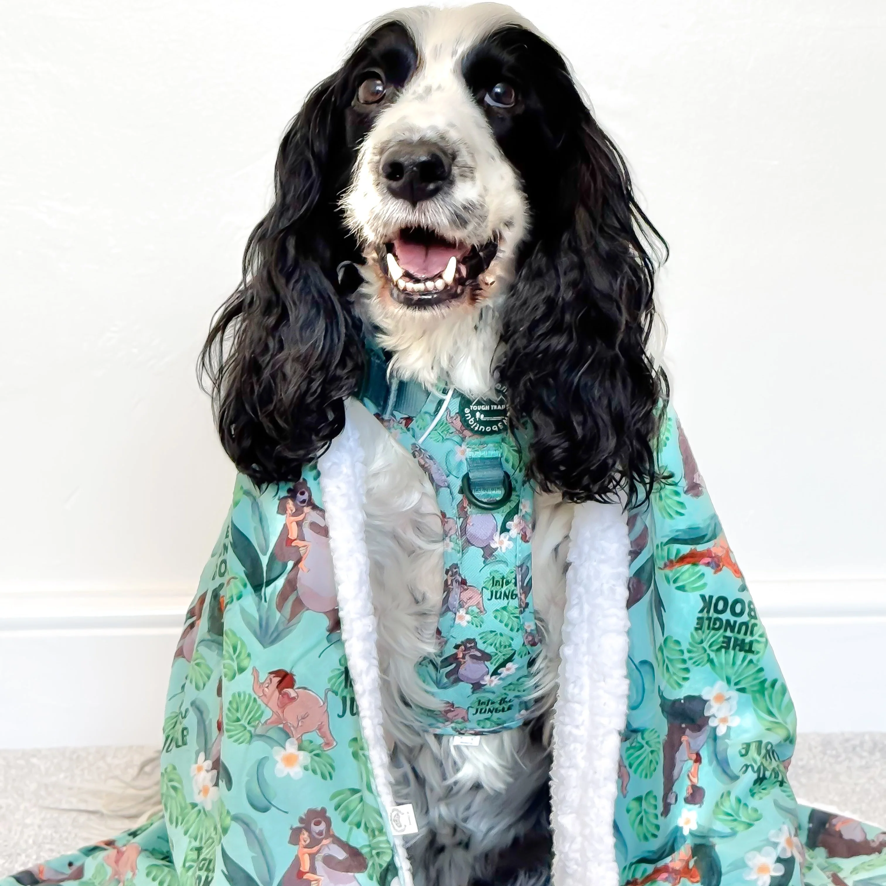 Disney© Dog Blanket - Jungle Book - Image 11
