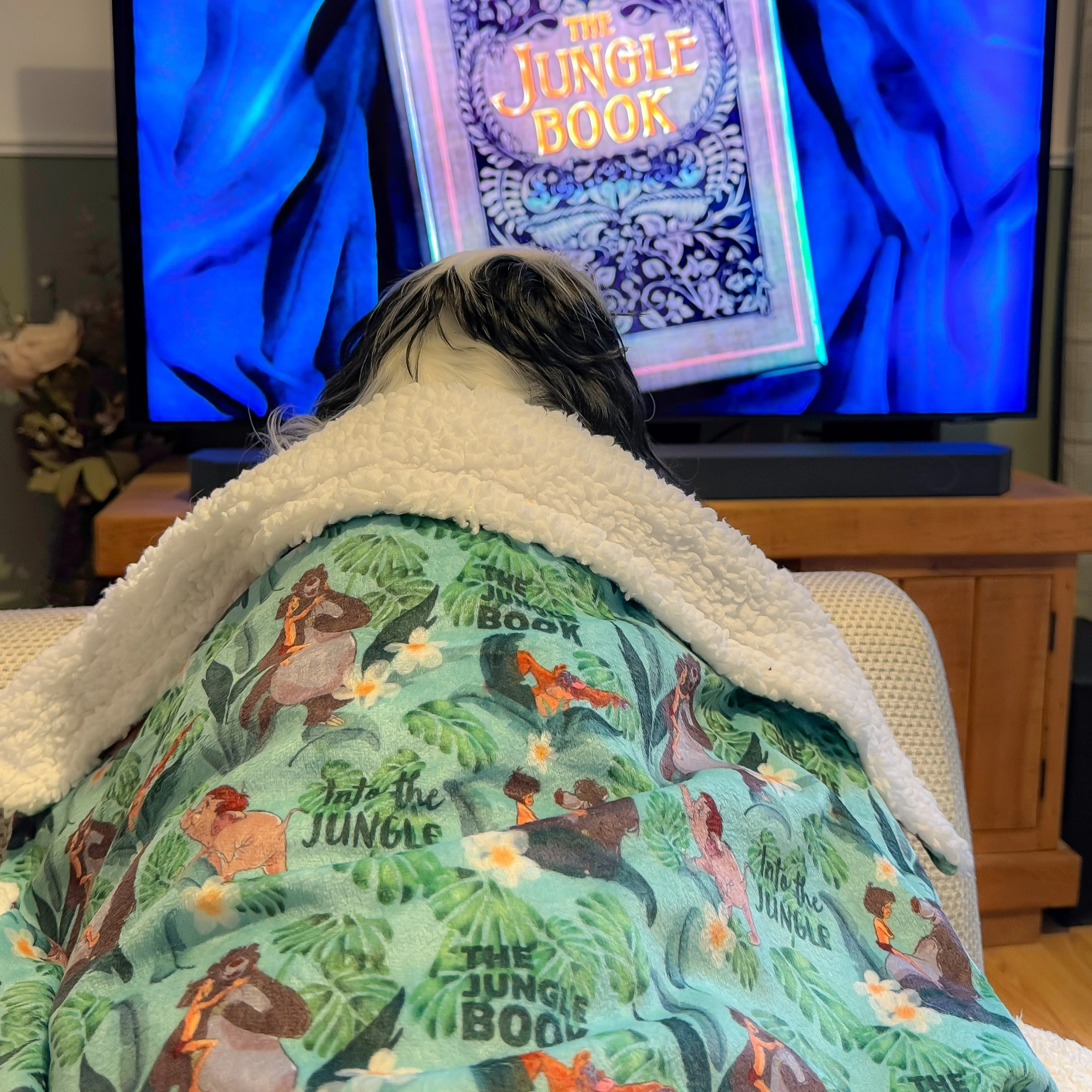 Disney© Dog Blanket - Jungle Book - Image 5