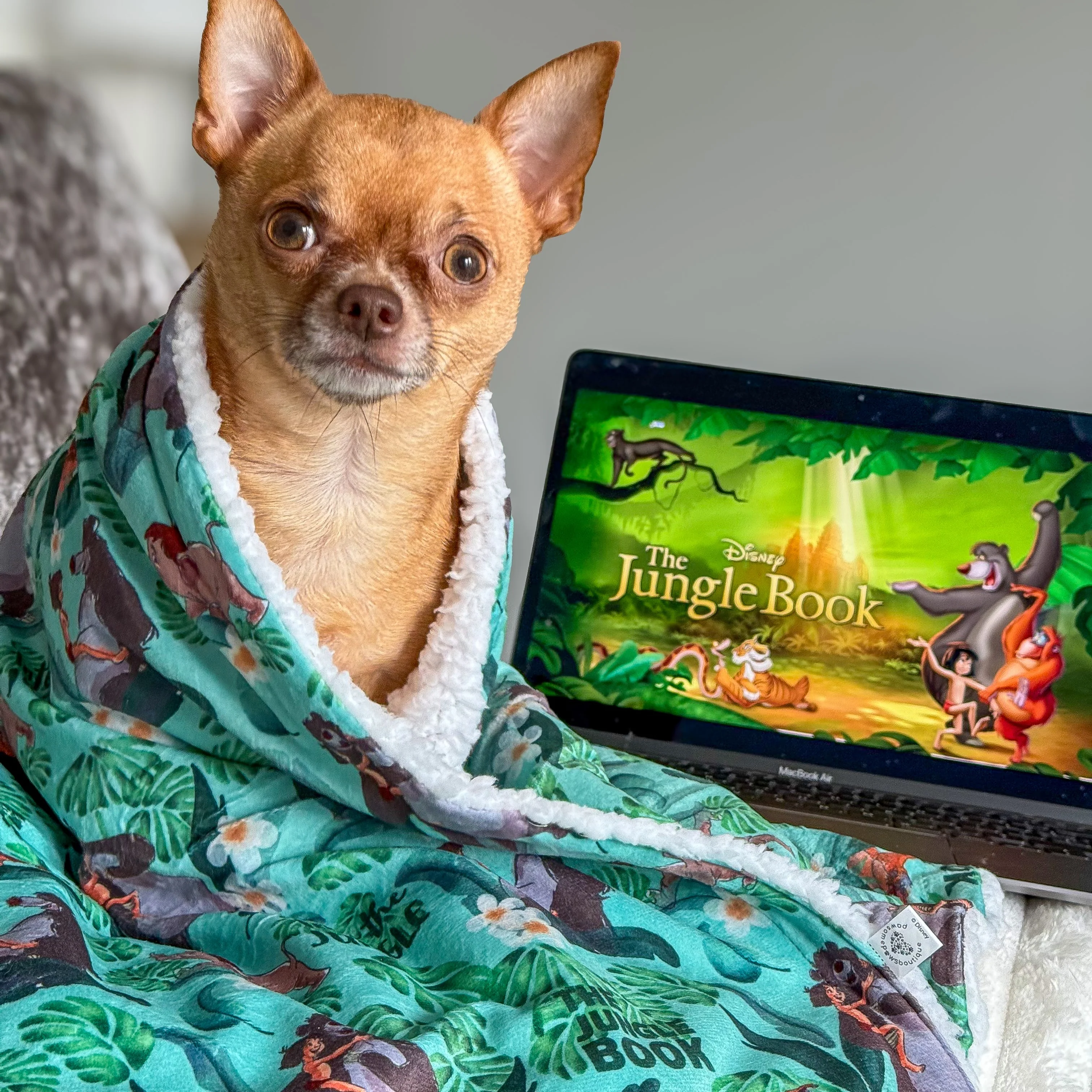 Disney© Dog Blanket - Jungle Book - Image 6