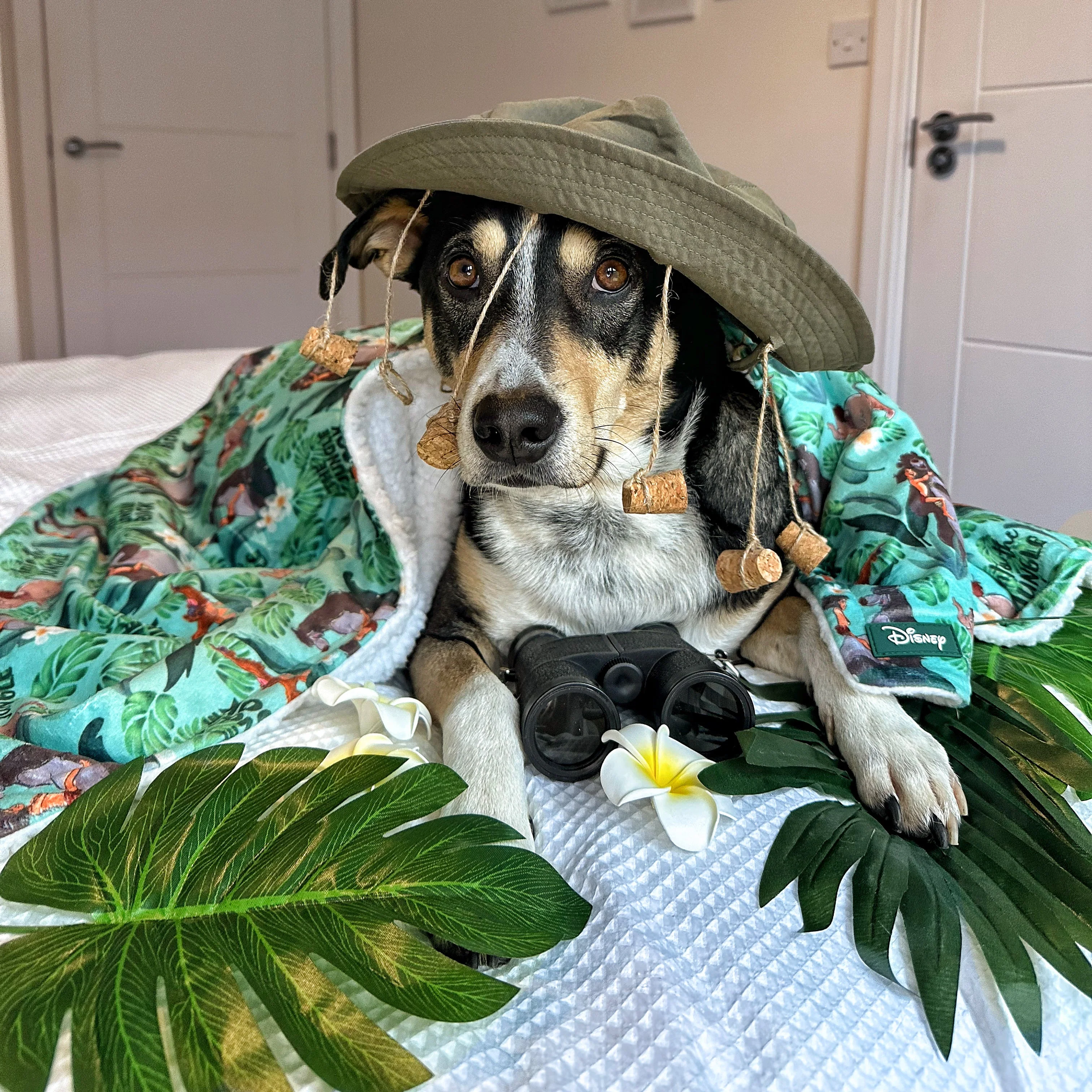 Disney© Dog Blanket - Jungle Book - Image 9