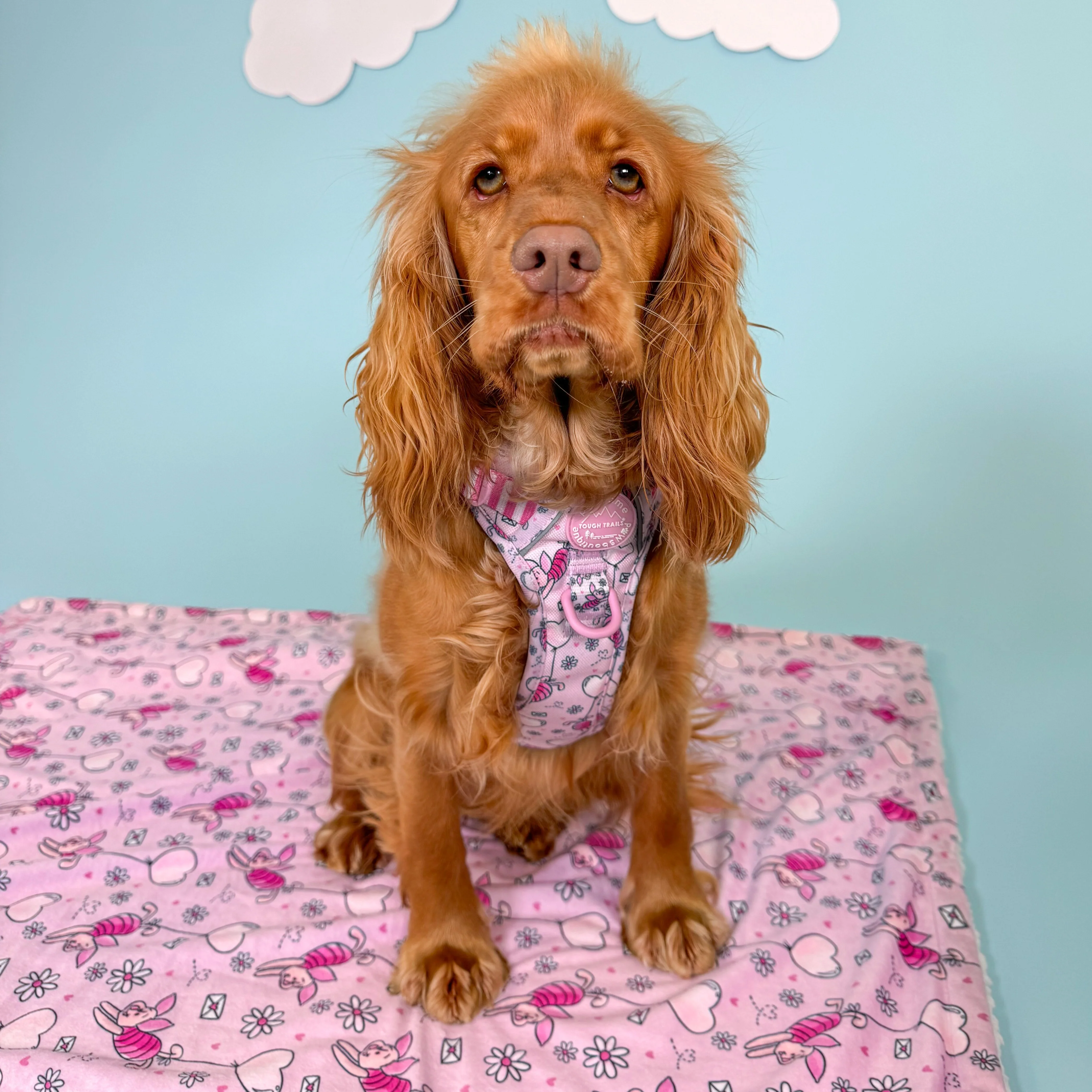Disney© Dog Blanket - Piglet - Image 6