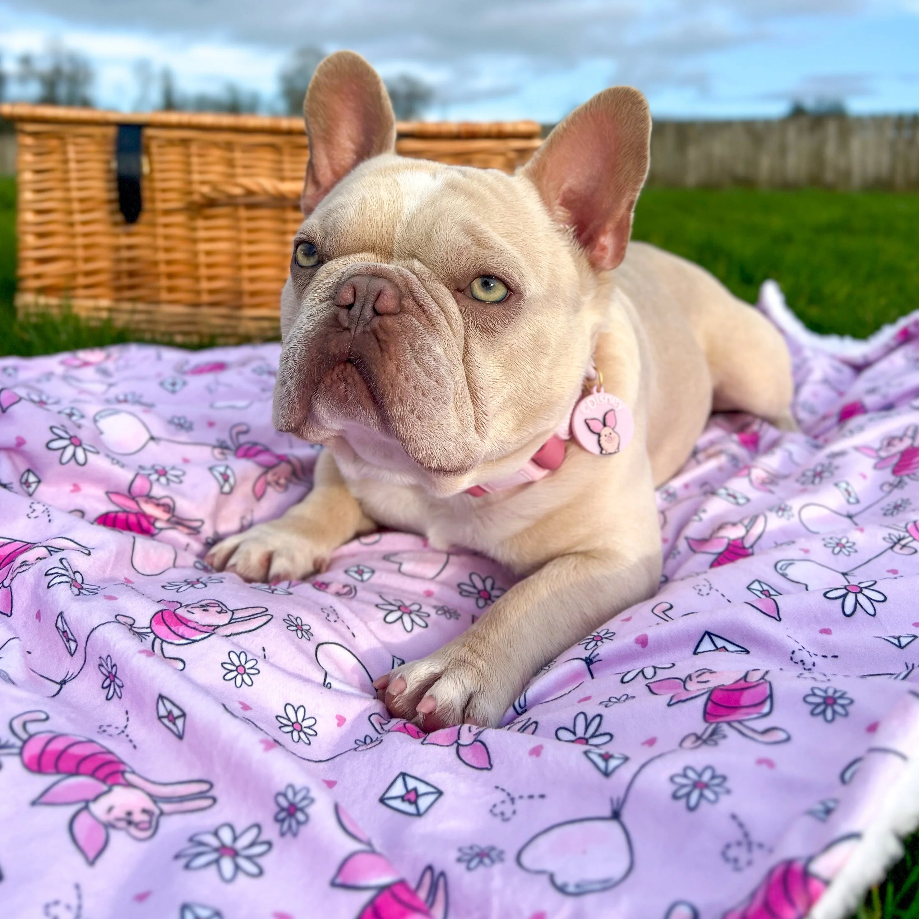 Disney© Dog Blanket - Piglet - Image 7