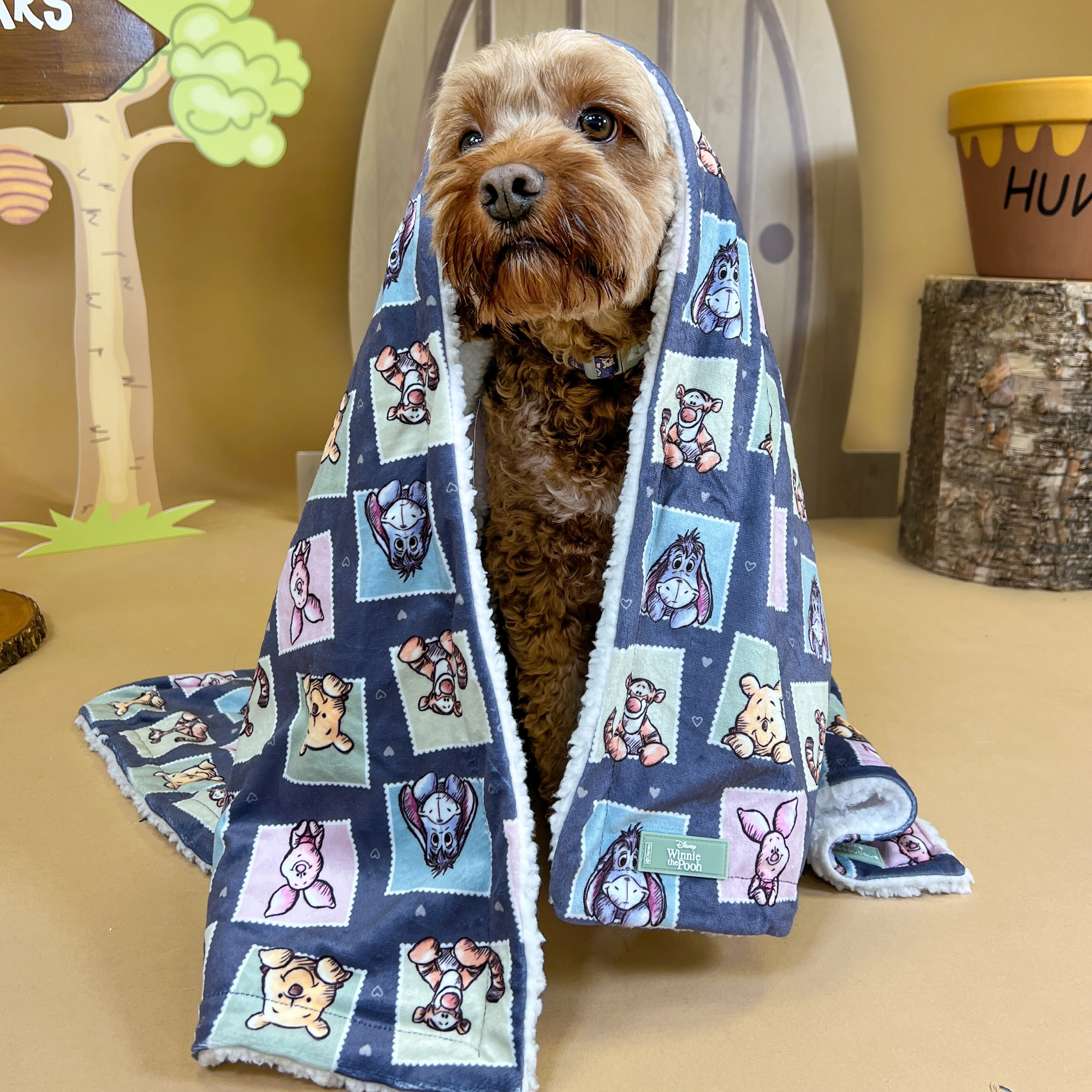 Disney© Dog Blanket - Winnie + Friends - Image 4
