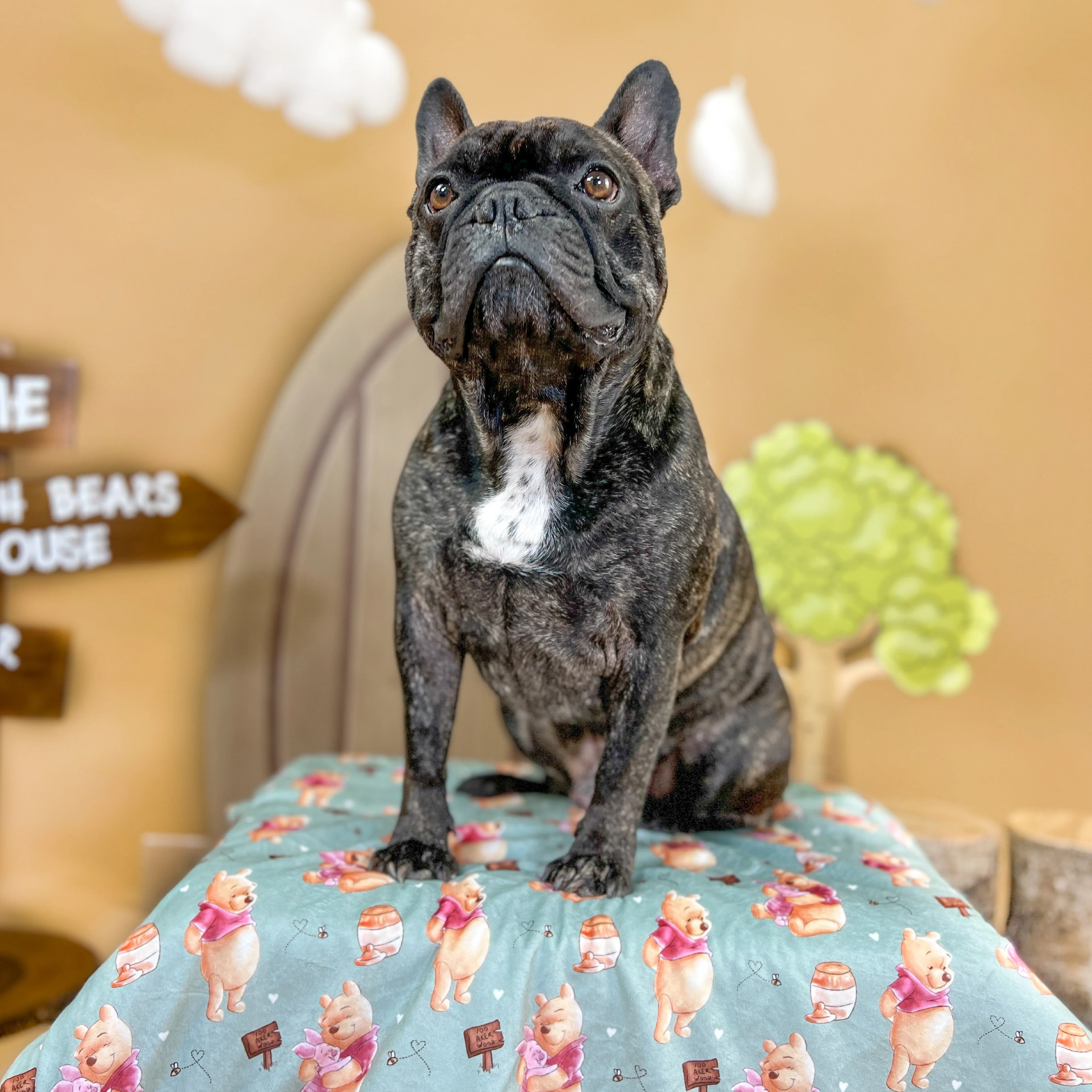Disney© Dog Blanket - Winnie The Pooh - Image 8